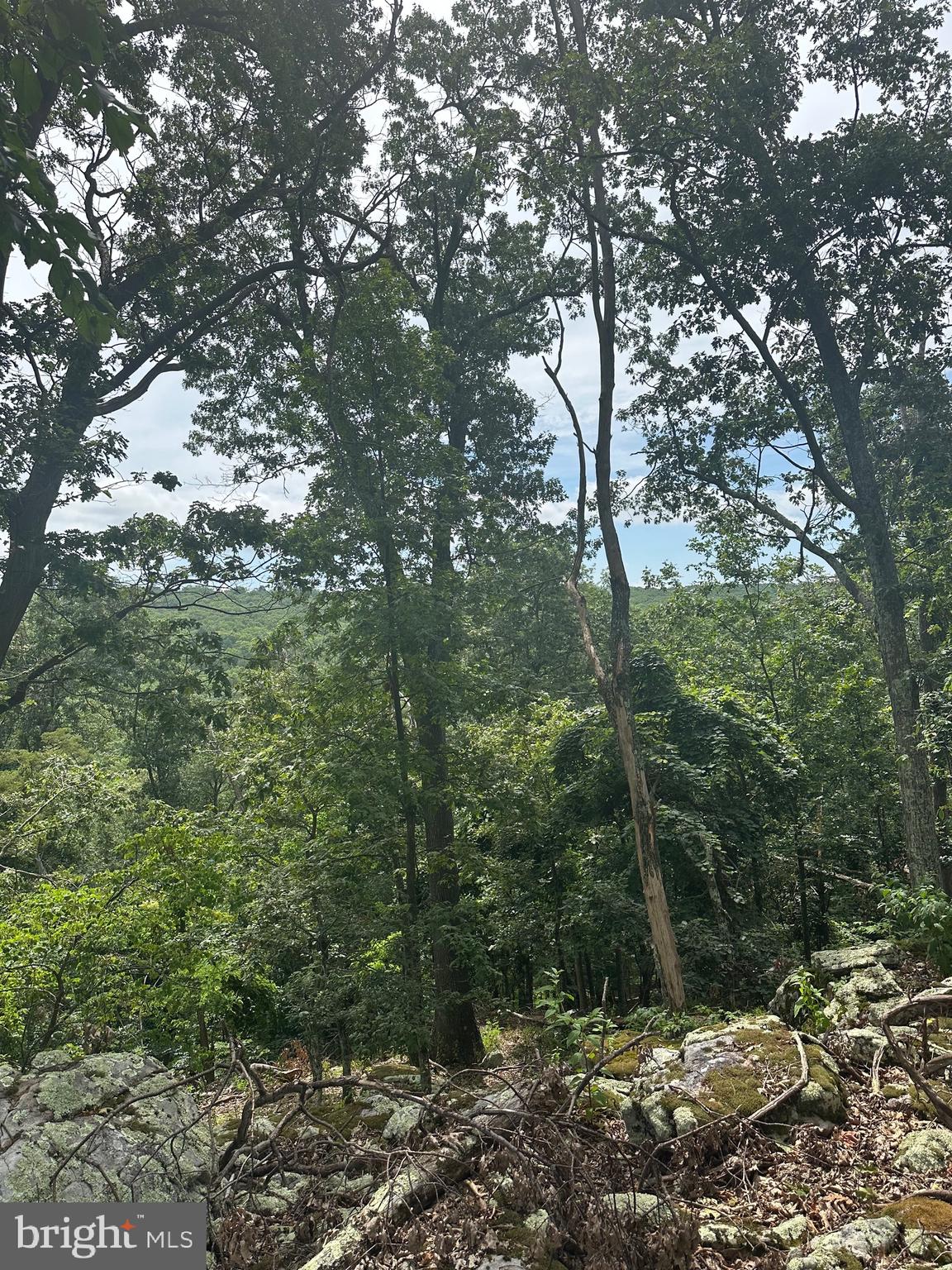 POTOMAC VALLEY VISTA - Land