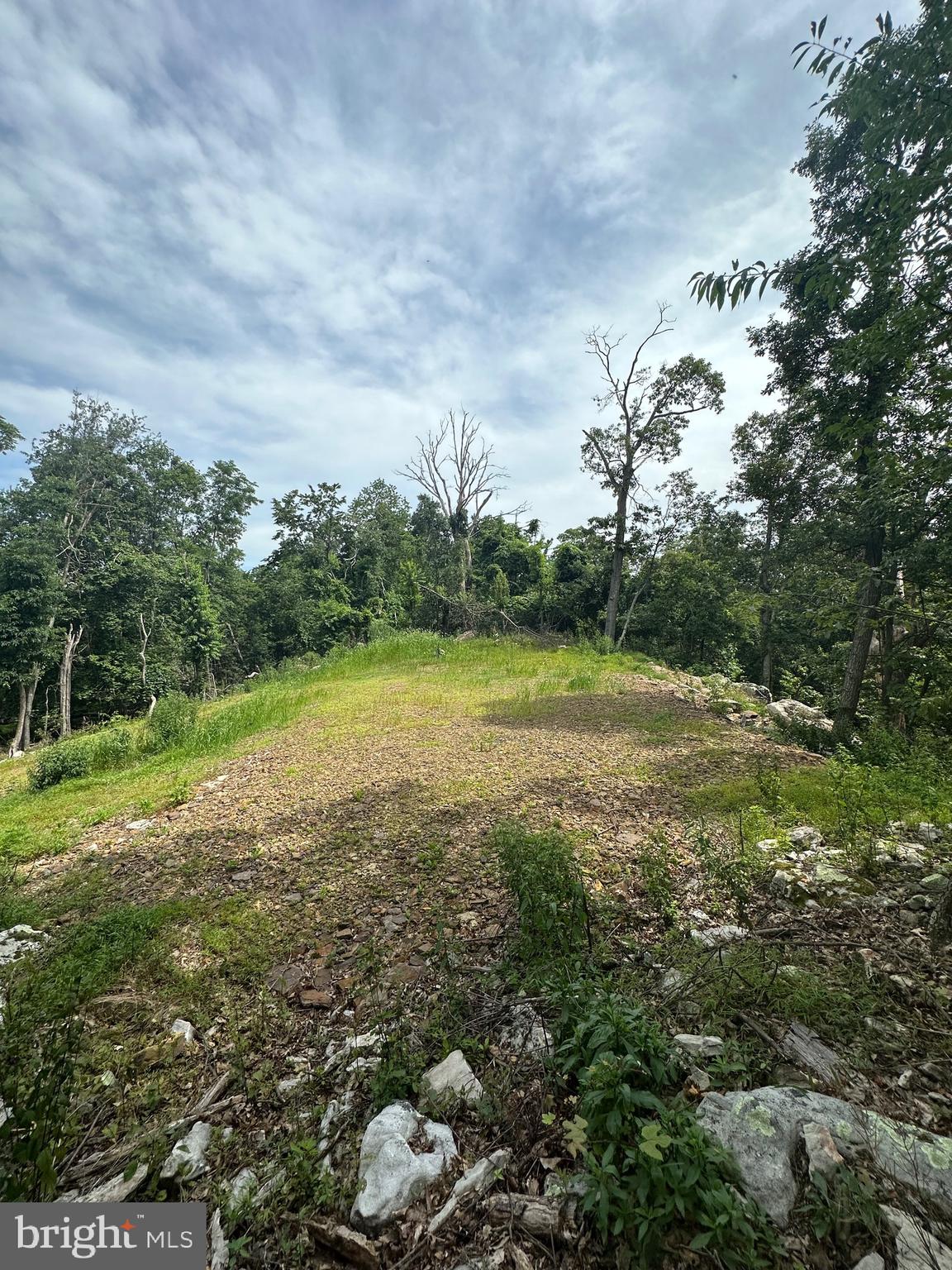 POTOMAC VALLEY VISTA - Land