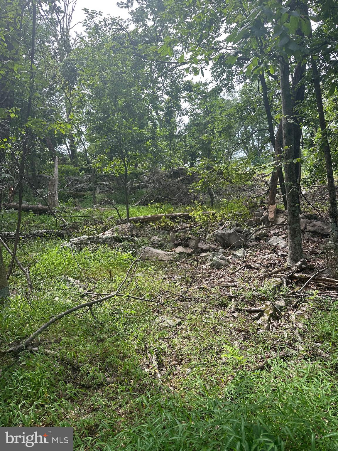 POTOMAC VALLEY VISTA - Land