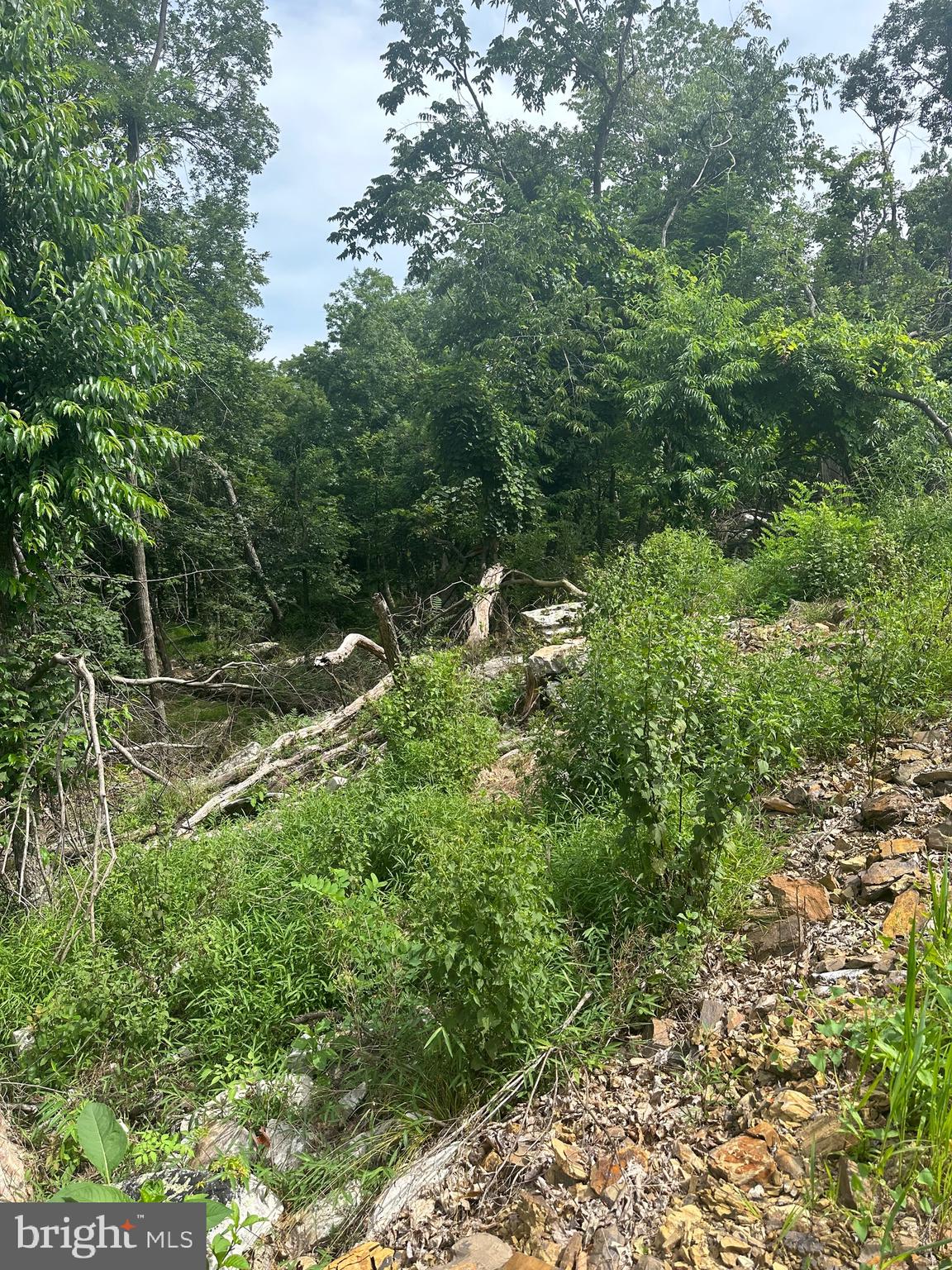 POTOMAC VALLEY VISTA - Land