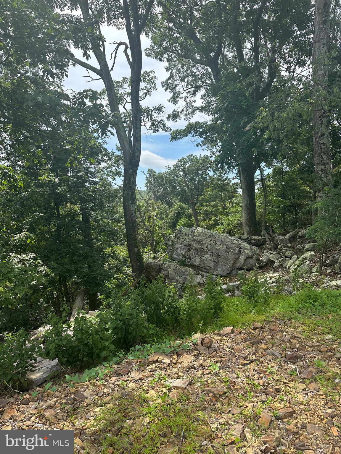 POTOMAC VALLEY VISTA - Land