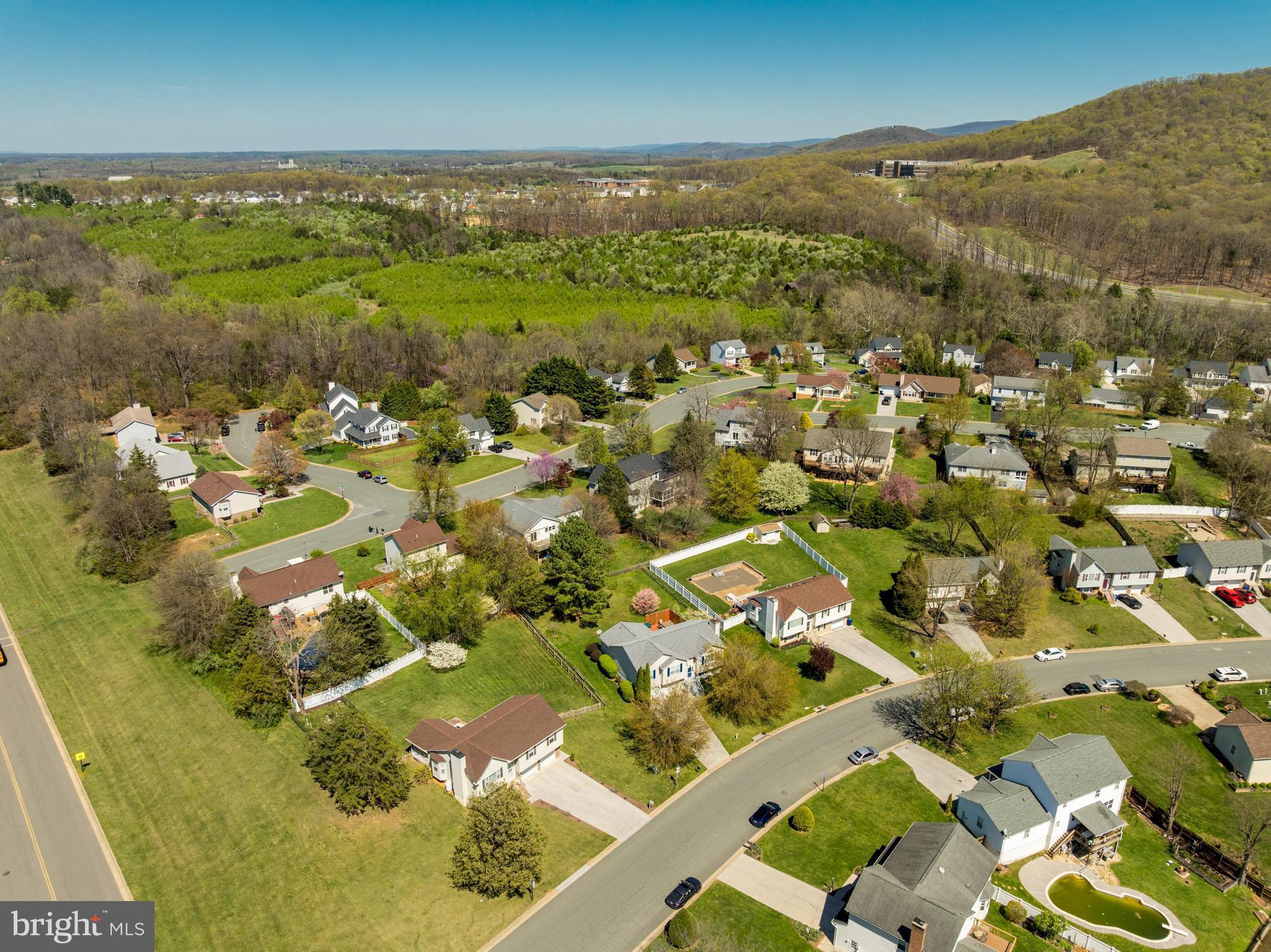 WILLIAMSBURG - Residential