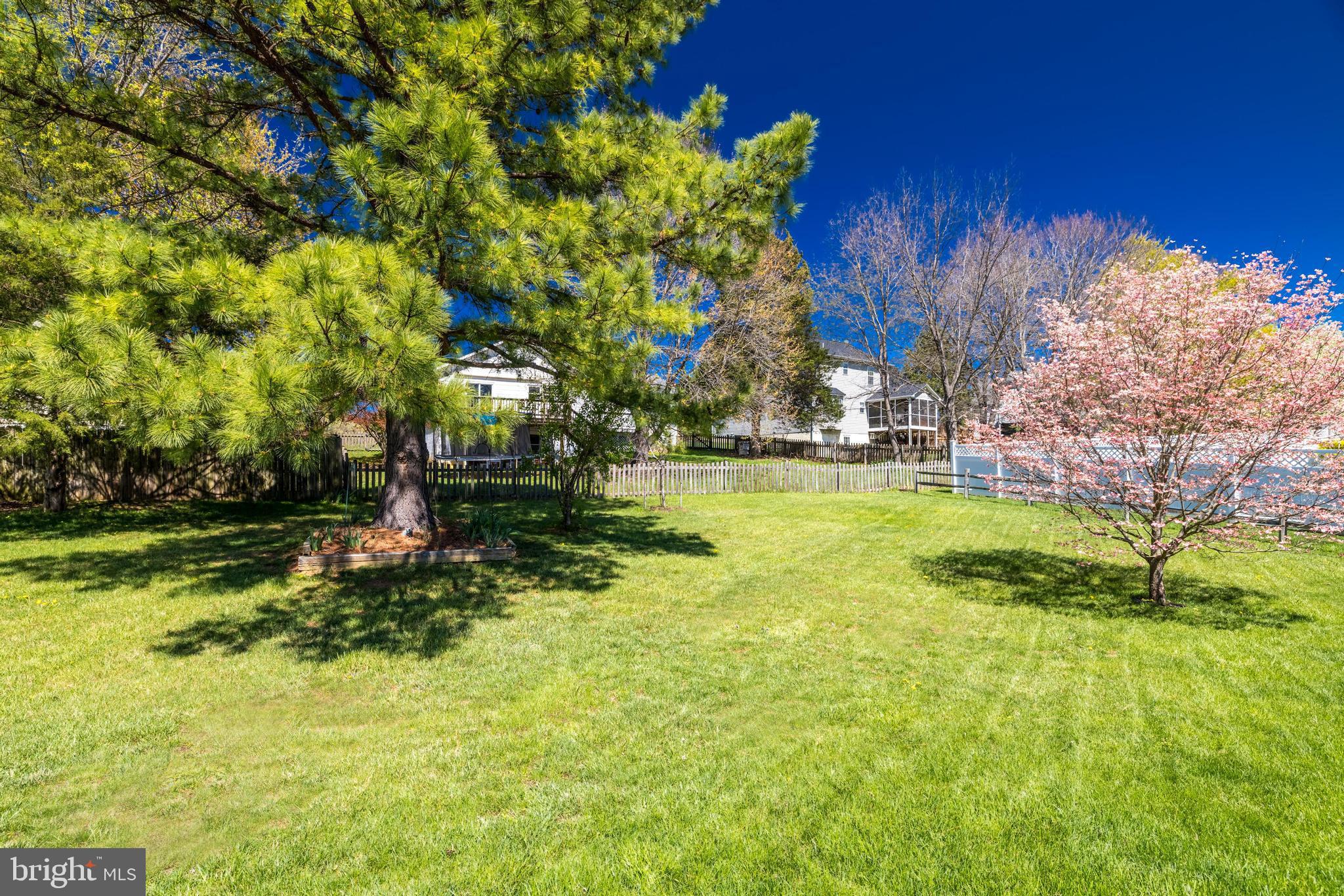 WILLIAMSBURG - Residential