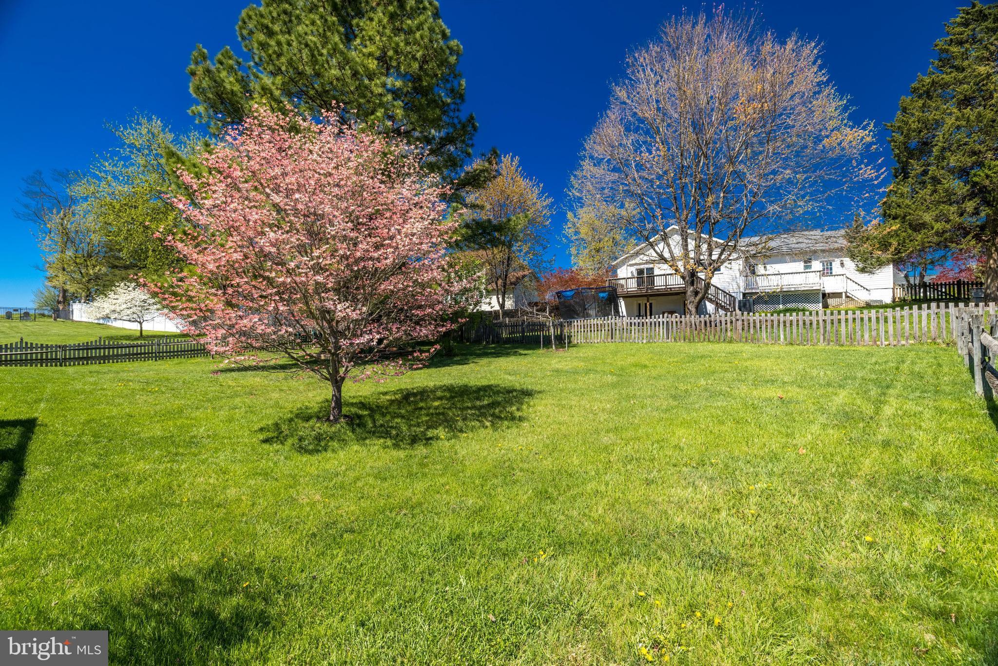 WILLIAMSBURG - Residential