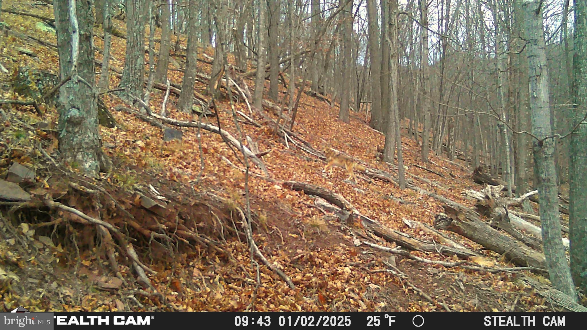 NONE AVAILABLE - Land