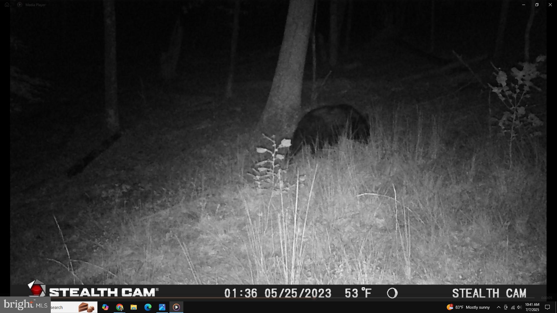 NONE AVAILABLE - Land