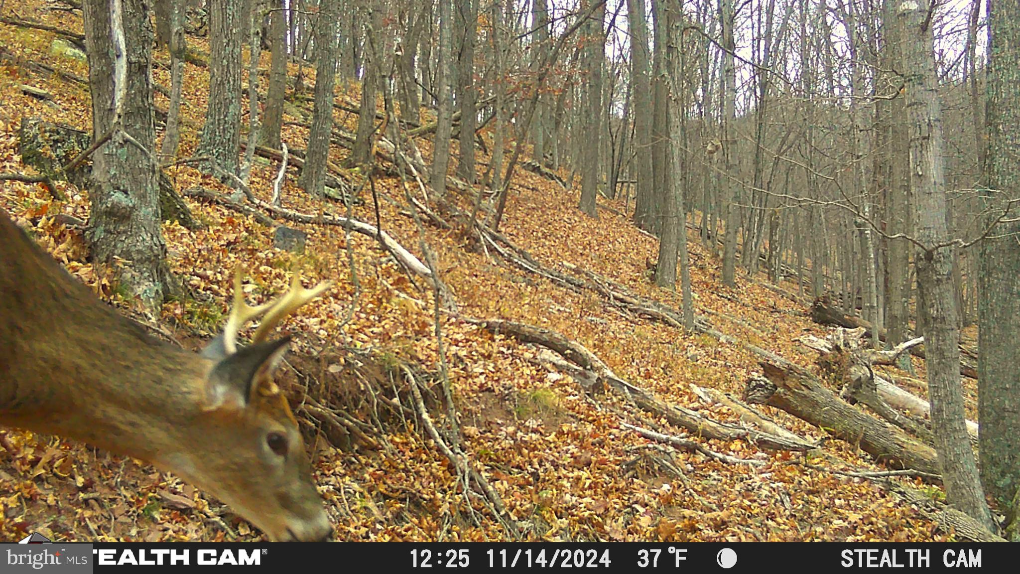 NONE AVAILABLE - Land