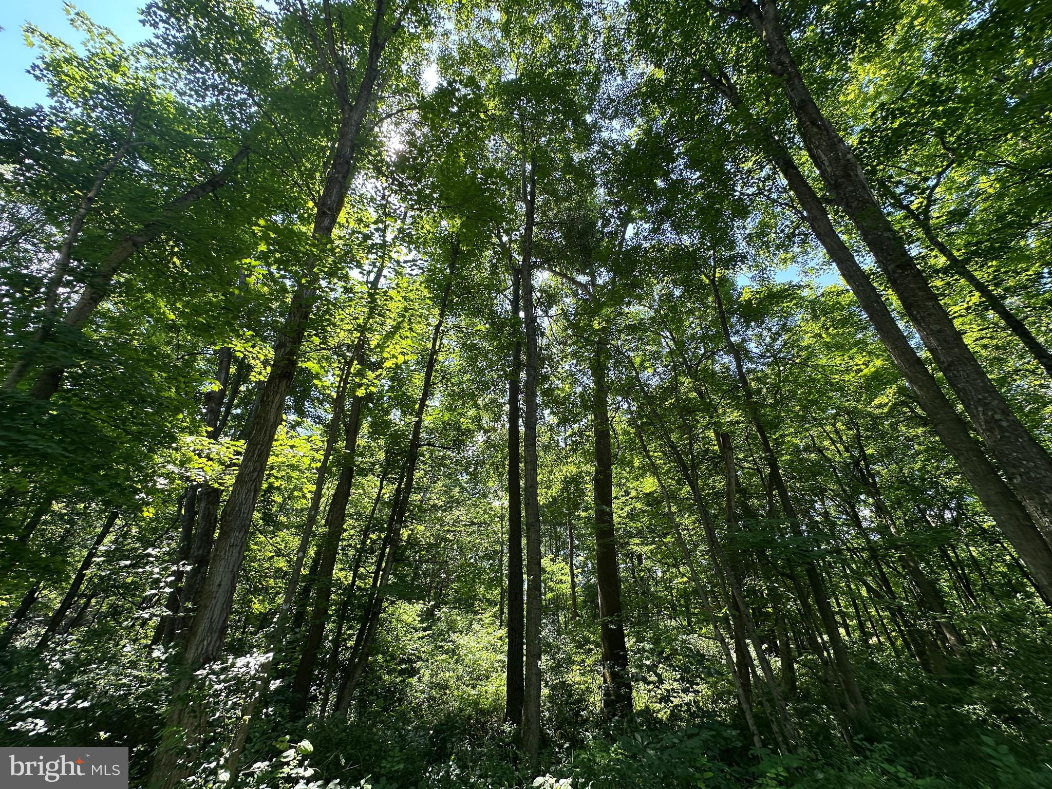 NONE AVAILABLE - Land