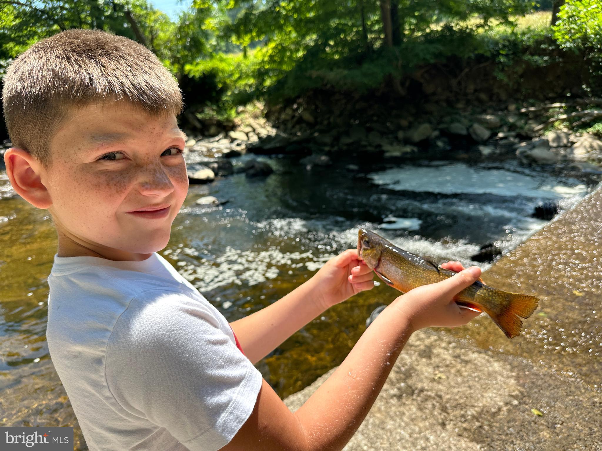 NONE AVAILABLE - Land