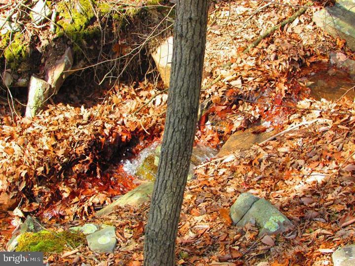 NONE AVAILABLE - Land