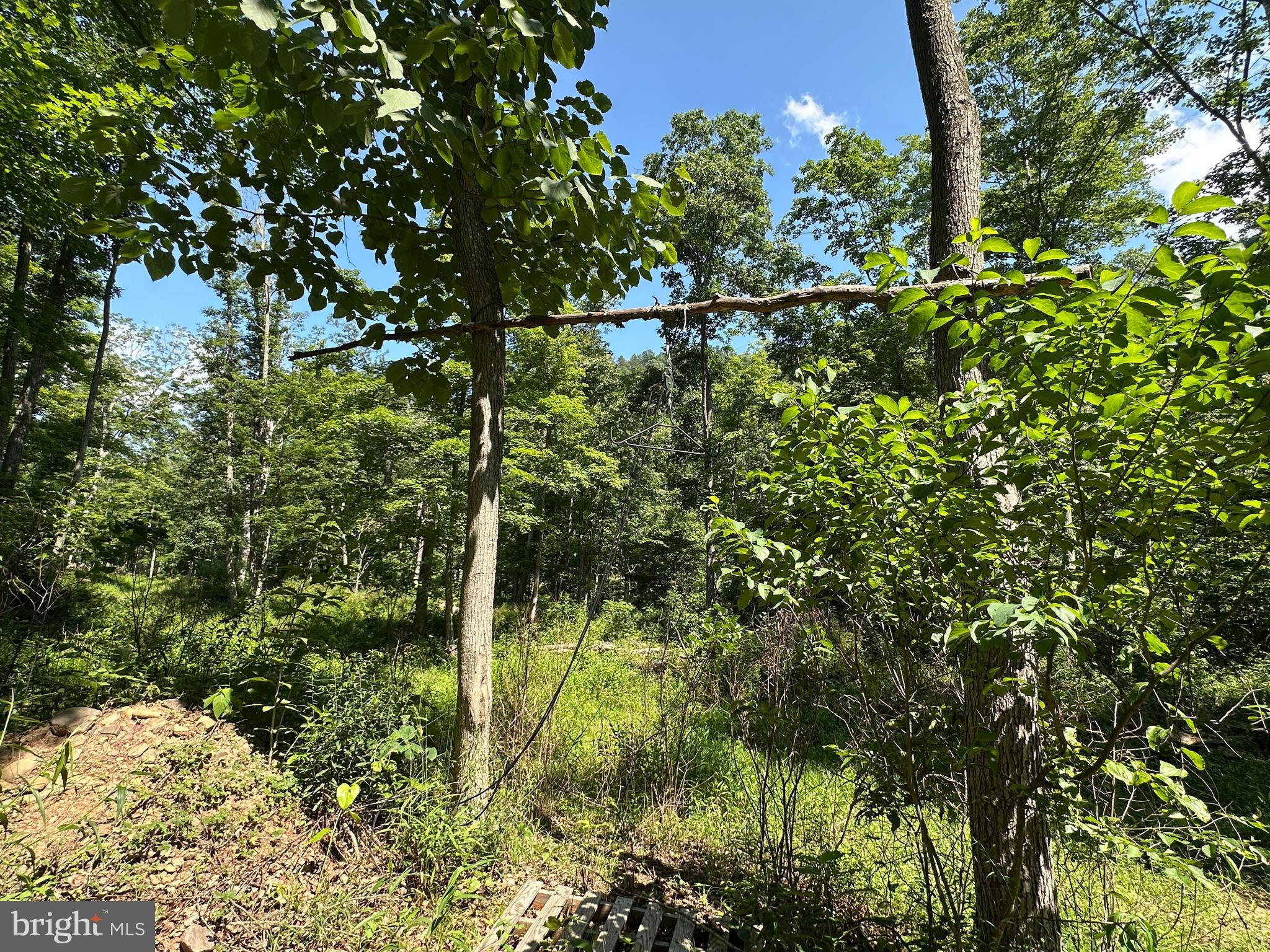 NONE AVAILABLE - Land