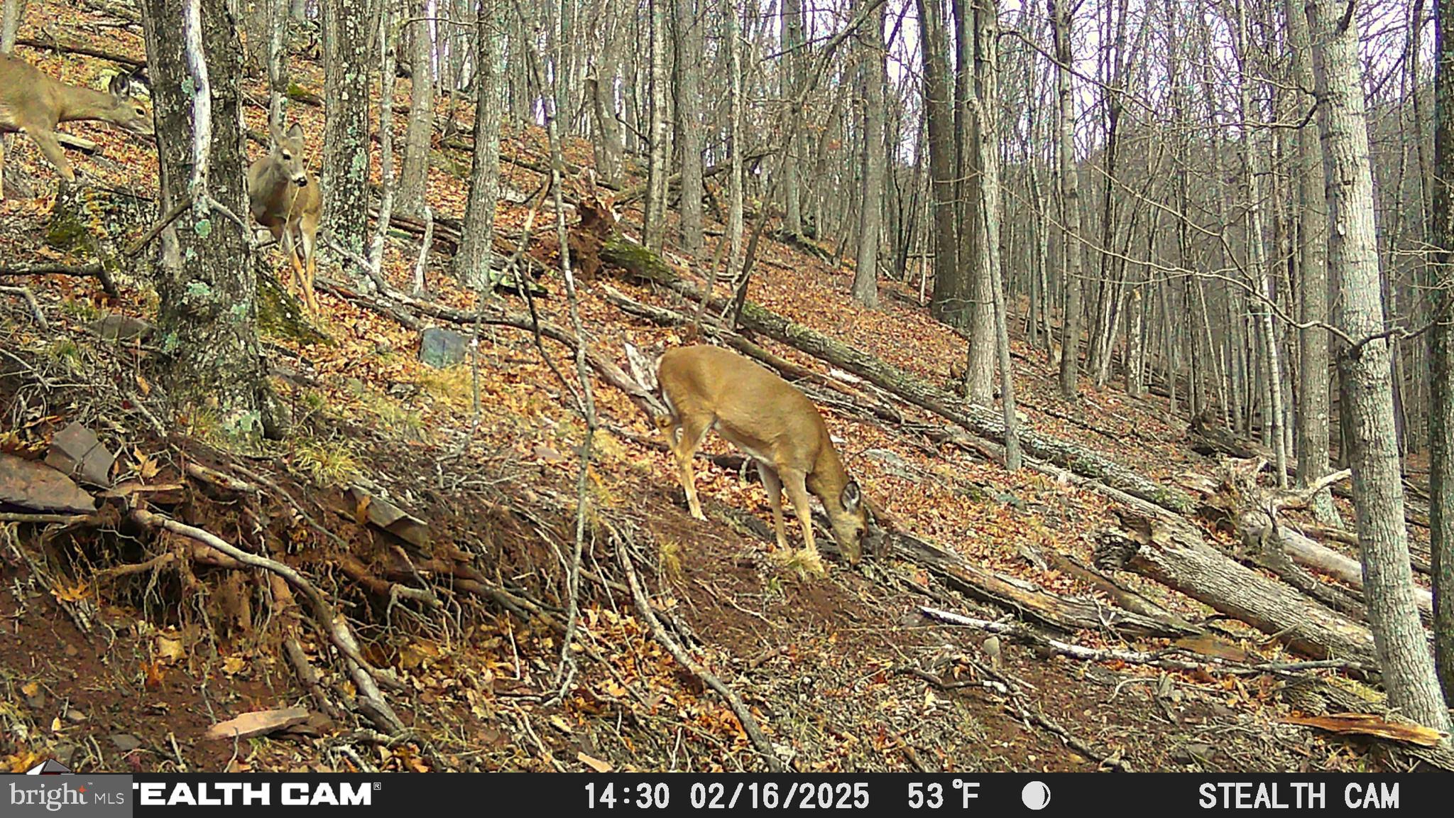 NONE AVAILABLE - Land