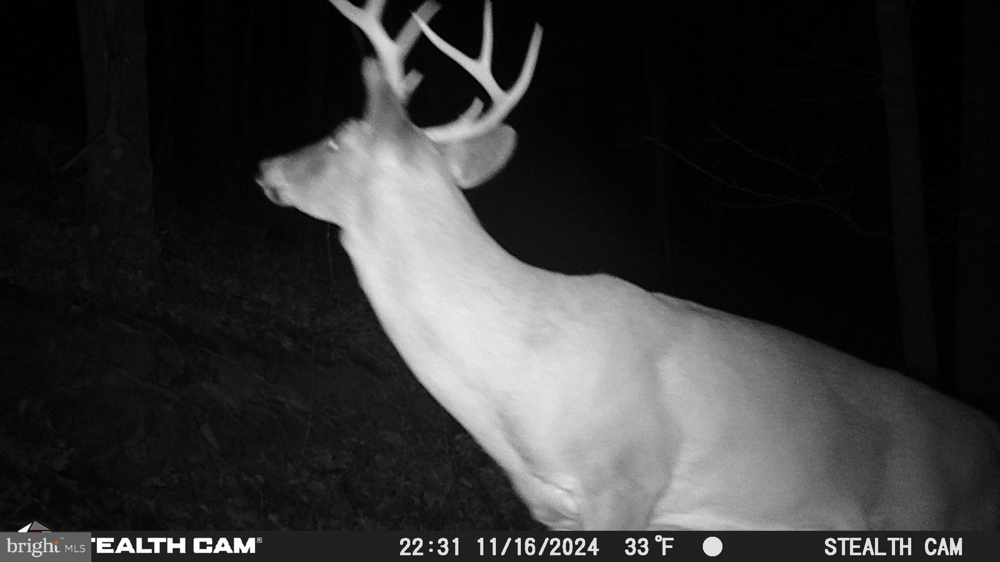 NONE AVAILABLE - Land