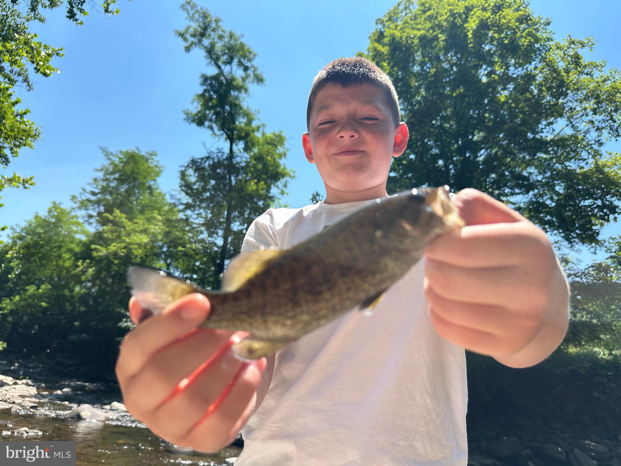 NONE AVAILABLE - Land