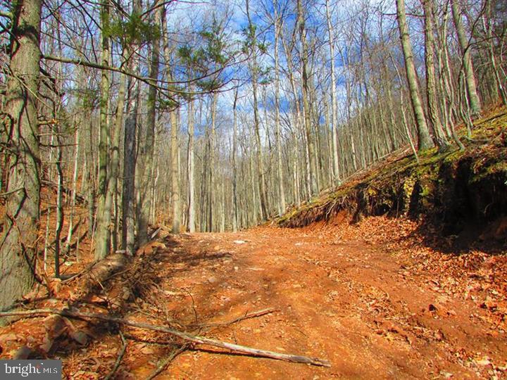 NONE AVAILABLE - Land