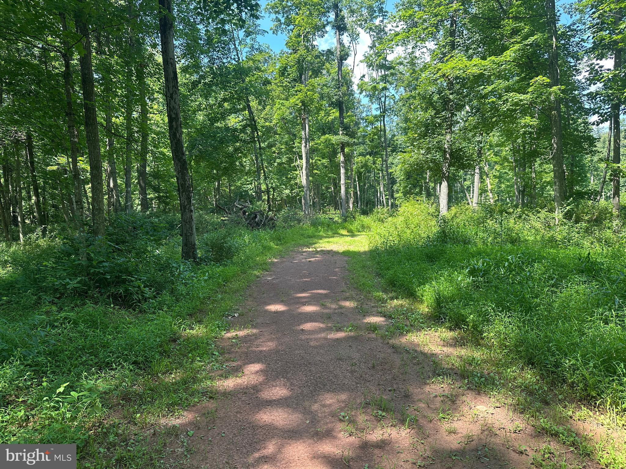 NONE AVAILABLE - Land