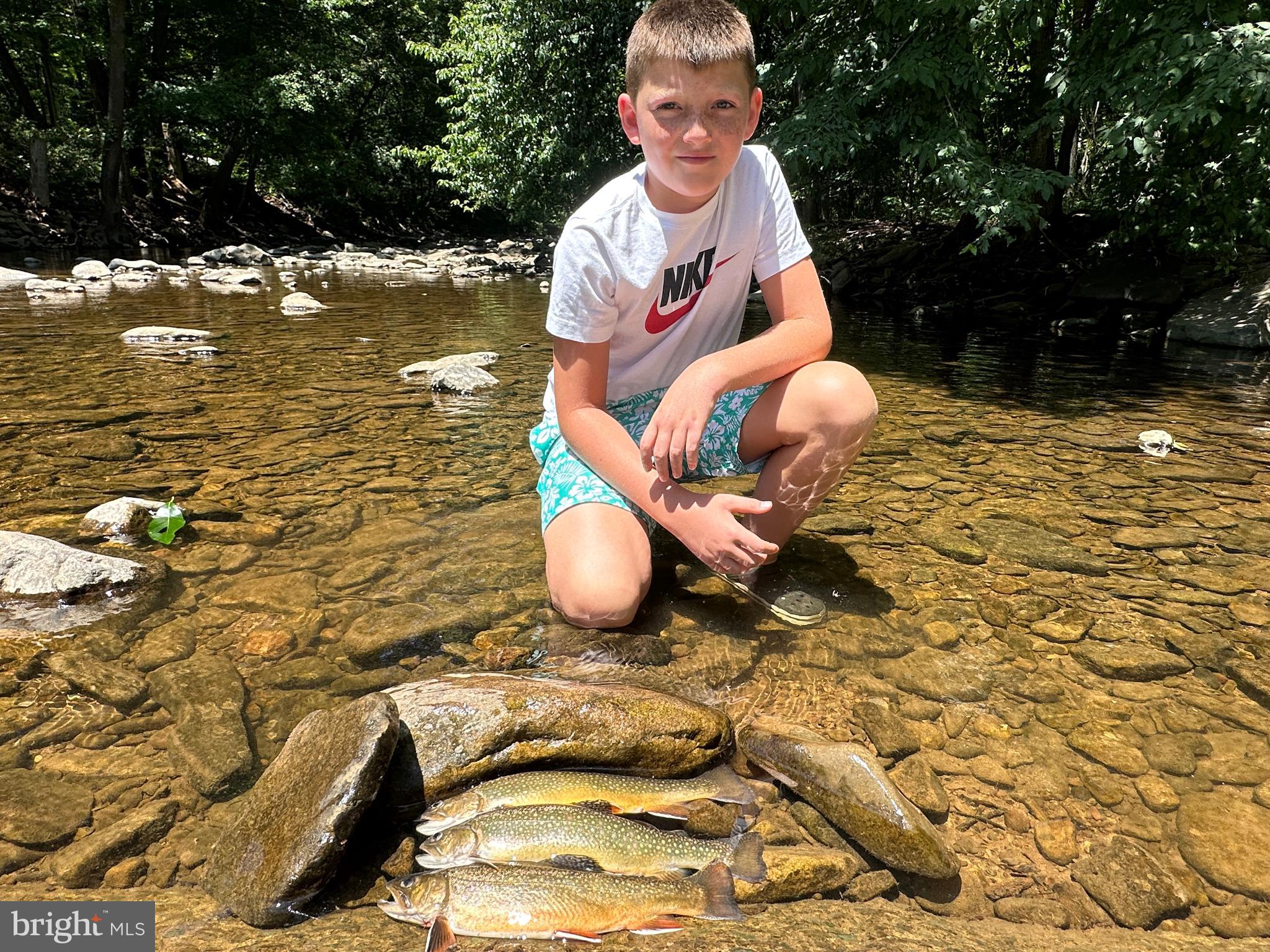 NONE AVAILABLE - Land