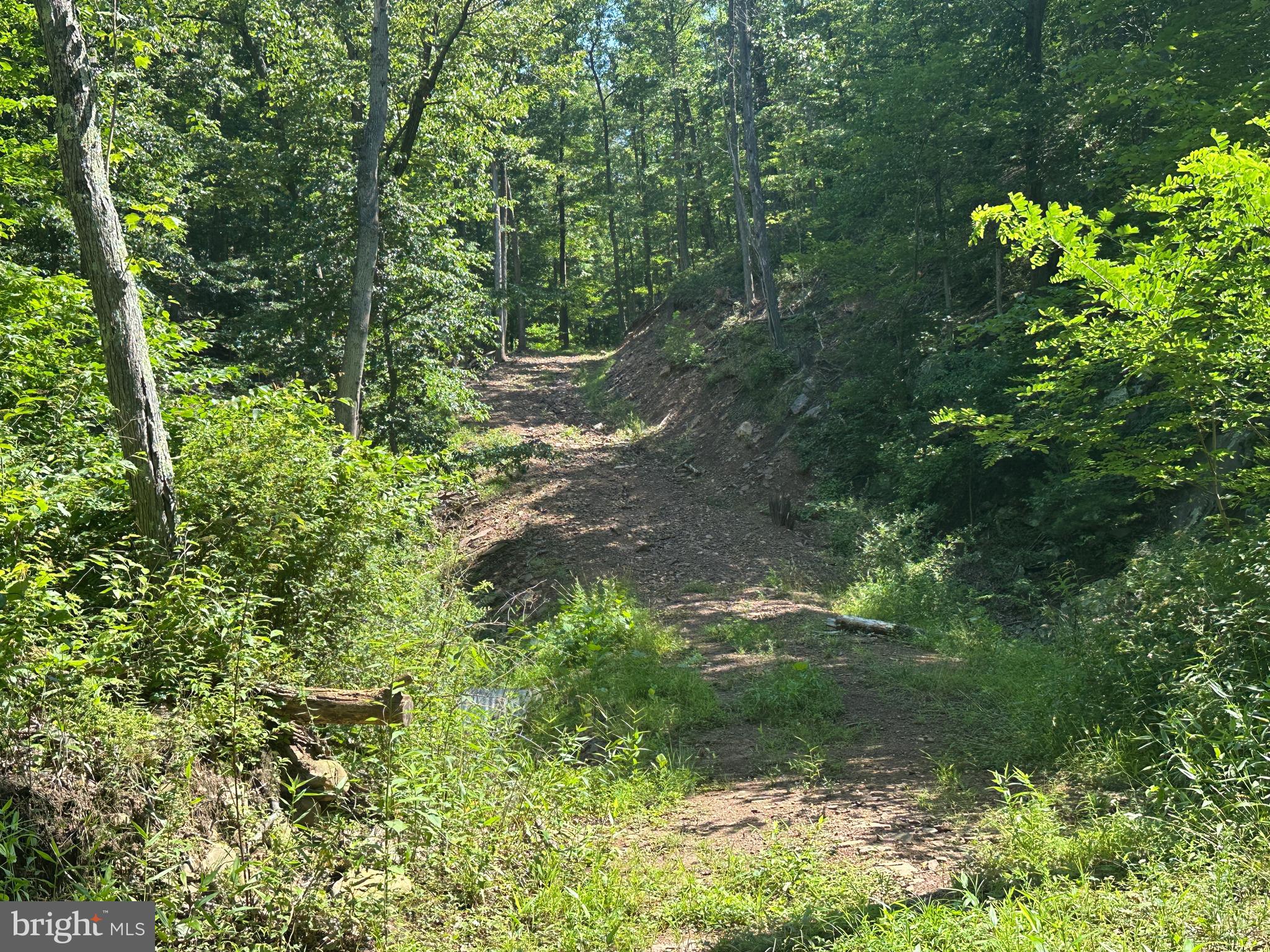 NONE AVAILABLE - Land