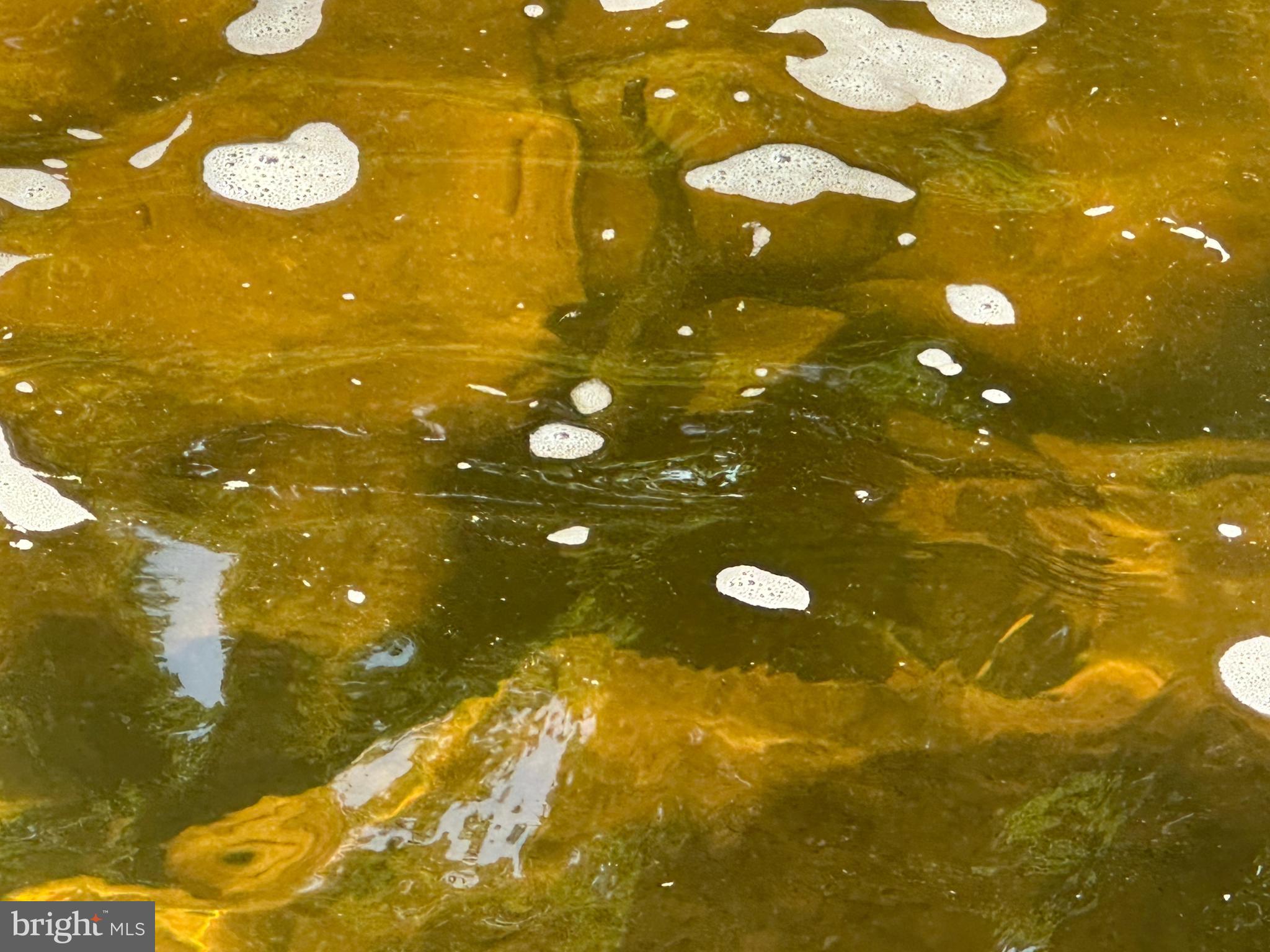 NONE AVAILABLE - Land