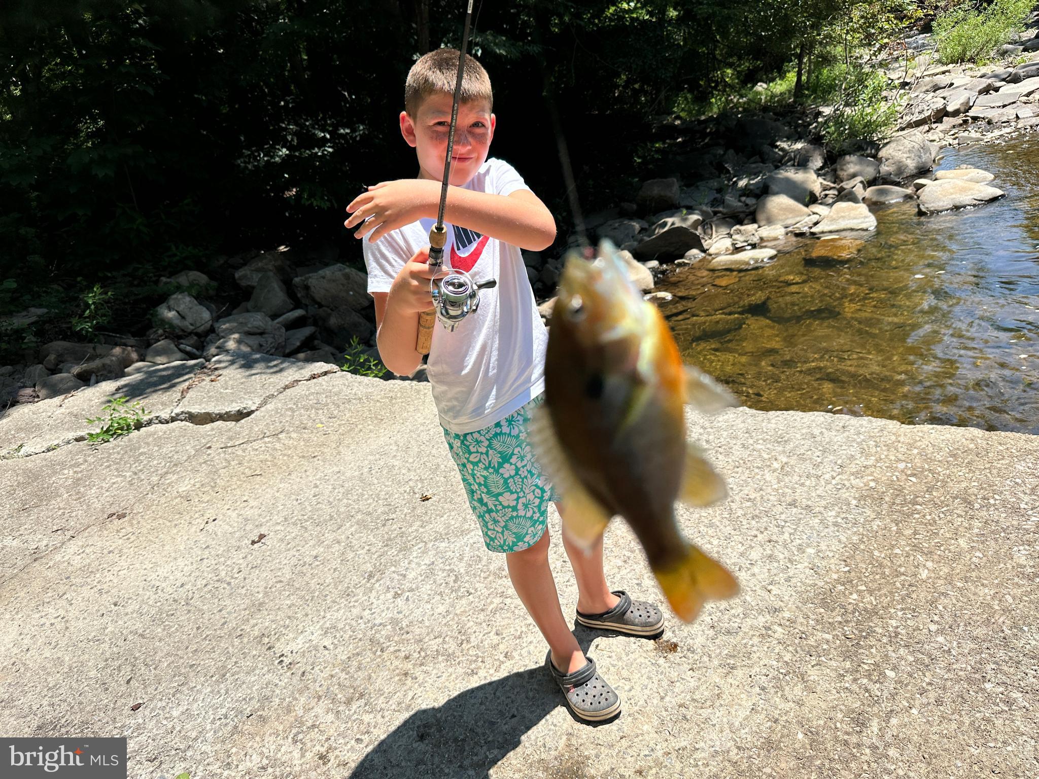 NONE AVAILABLE - Land