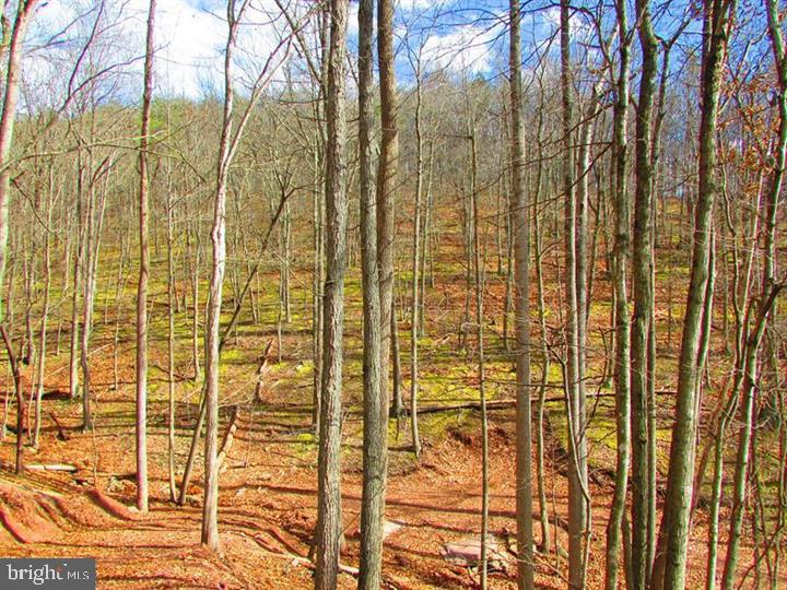 NONE AVAILABLE - Land