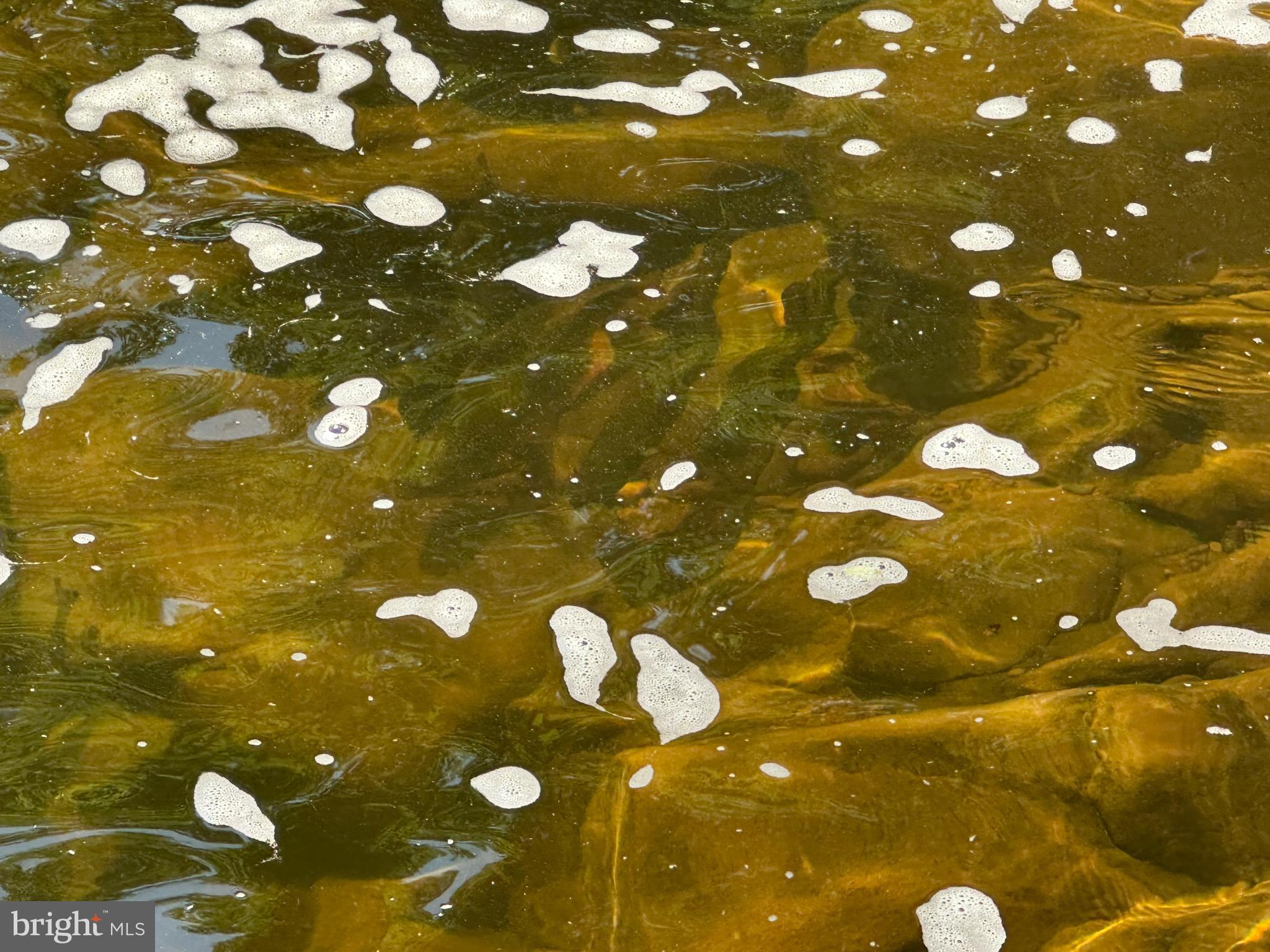 NONE AVAILABLE - Land