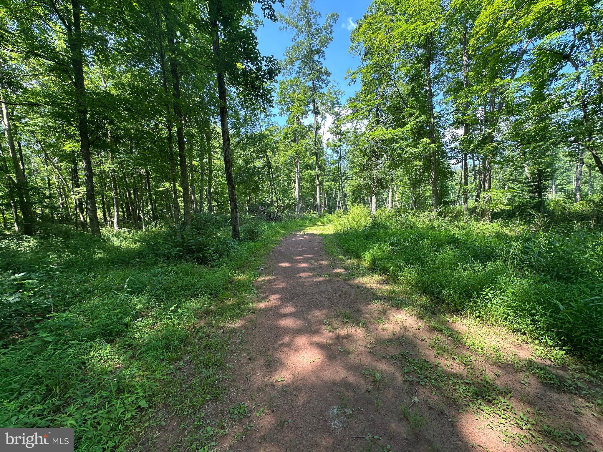 NONE AVAILABLE - Land