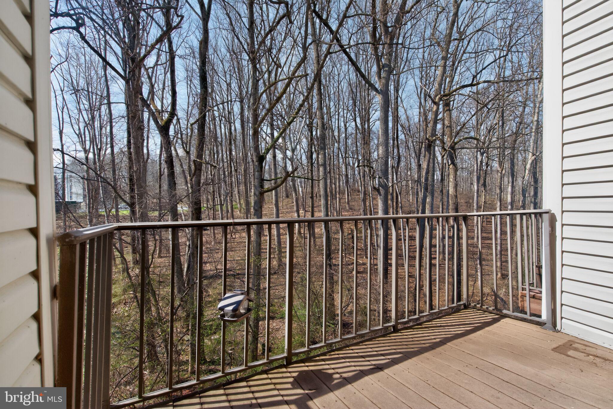 10452 PARTHENON COURT 10452