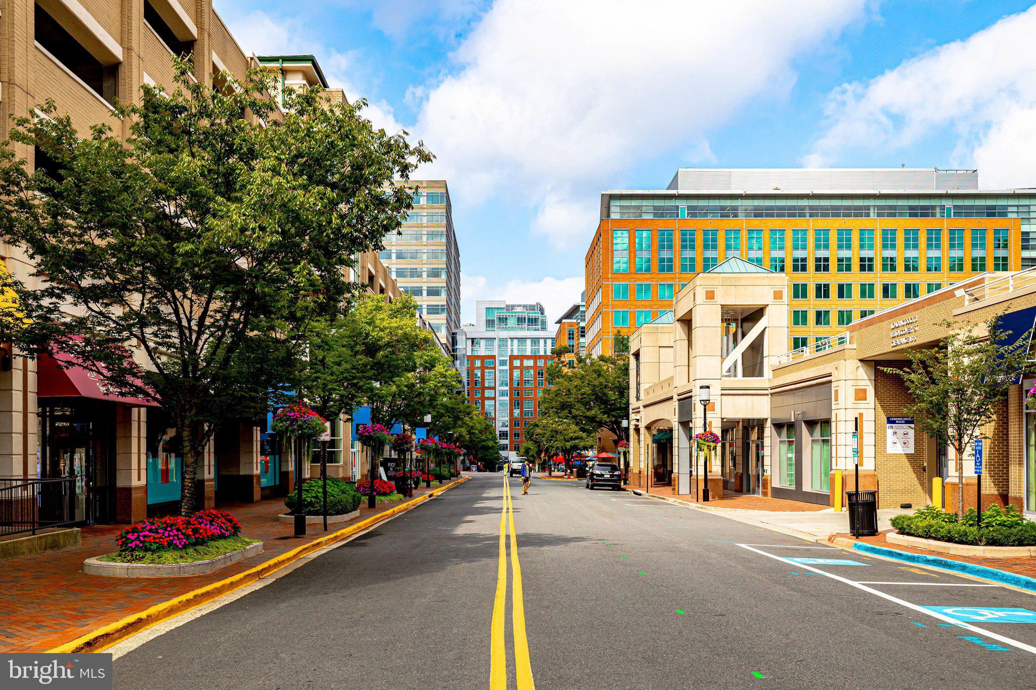 MARKET STREET AT TOWN CENTER - Residential