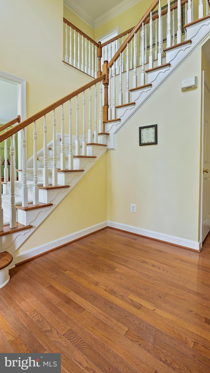 CEDAR HUNT - Residential