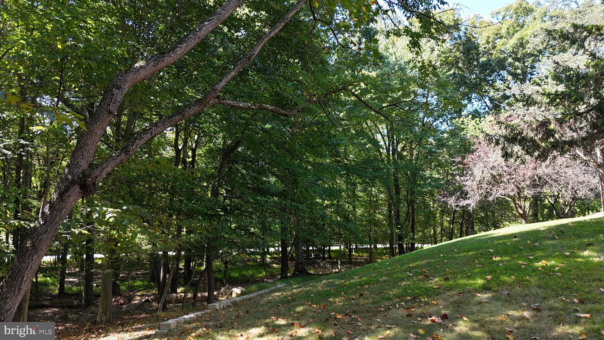 THE PRESERVE - Residential