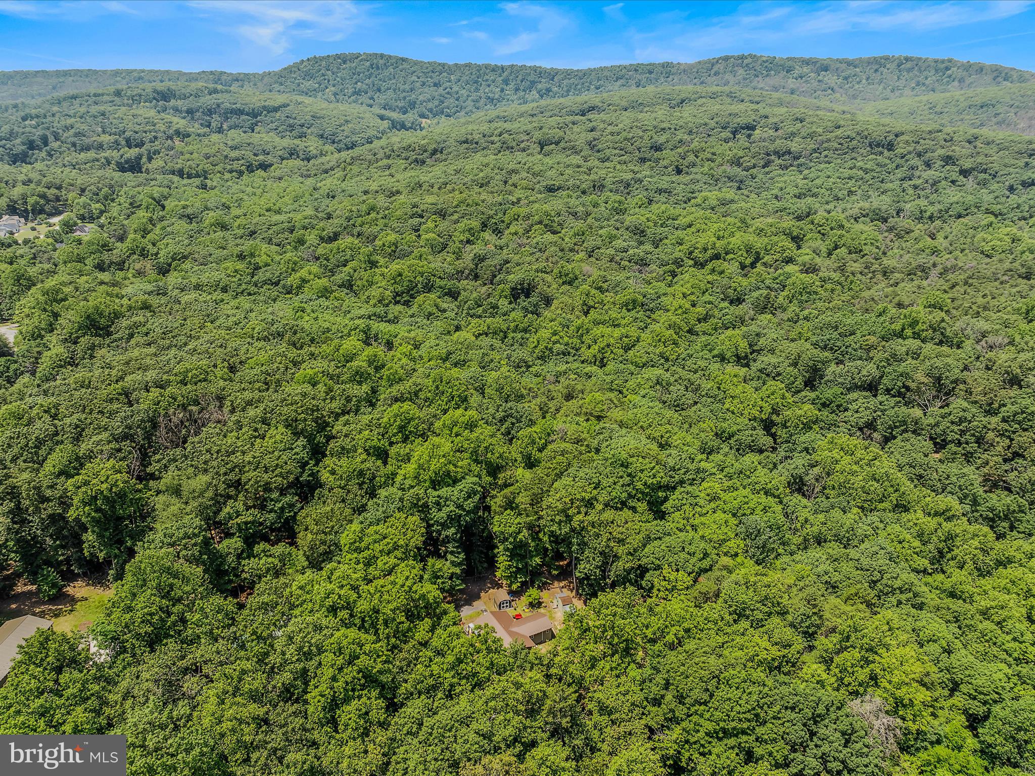 THE WOODS - Residential