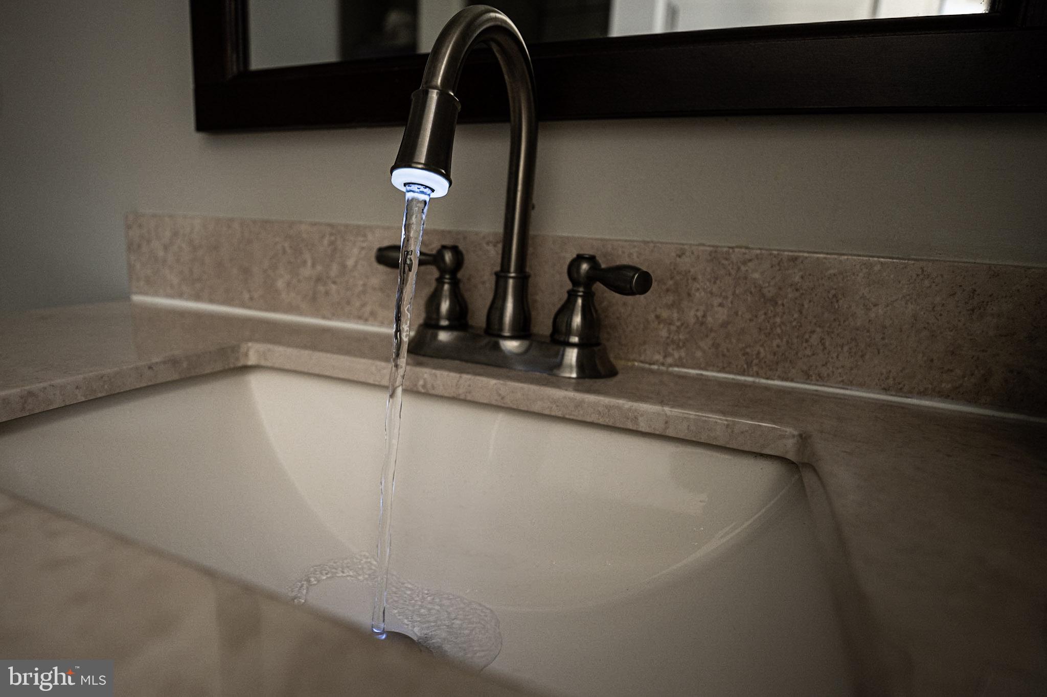 THE VILLAGES OF LYONSFIELD RUN - Residential