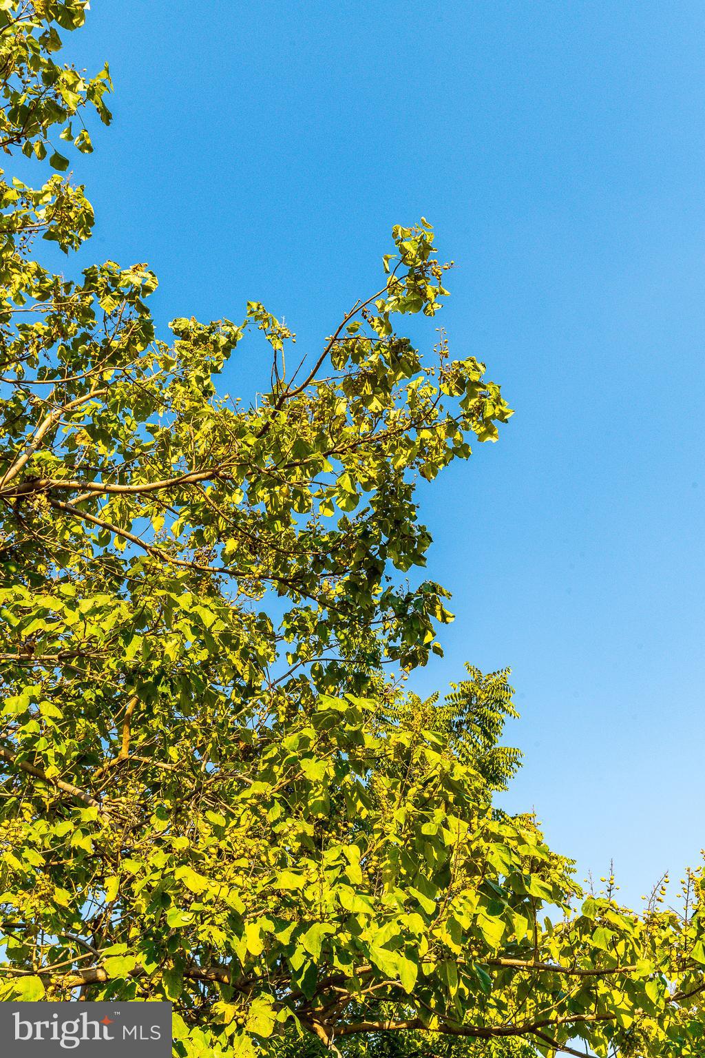 KENSINGTON - Residential