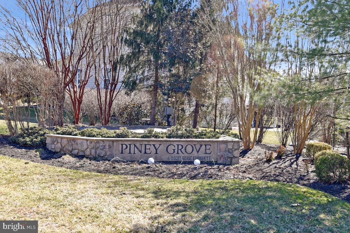 PINEY GROVE - Residential