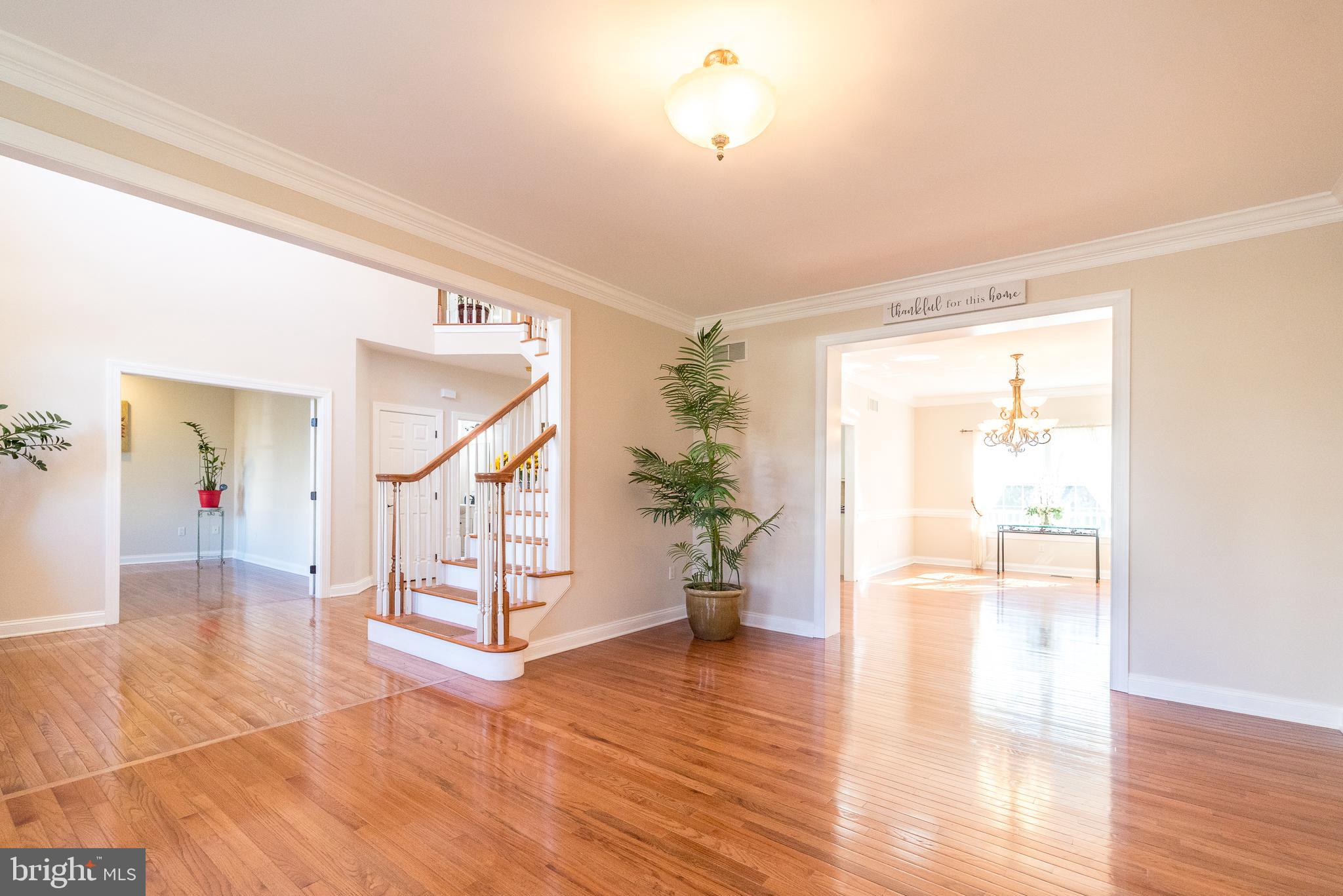 PIMLICO FARMS - Residential