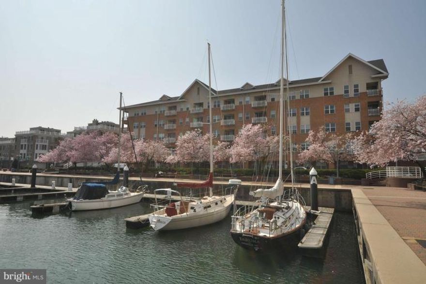 Lovely condo, bright and cheery.  Exotic hardwood flooring in living room, dining room and bedroom!  Open floor plan.  Great rental price and part of the Harborview Community on the Inner Harbor!  On site restaurants and marina.  Walk around the Harbor on the promenade right outside your door.  Underground parking.  Use of two pools and two gyms!  Close to all that Federal Hill has to offer.