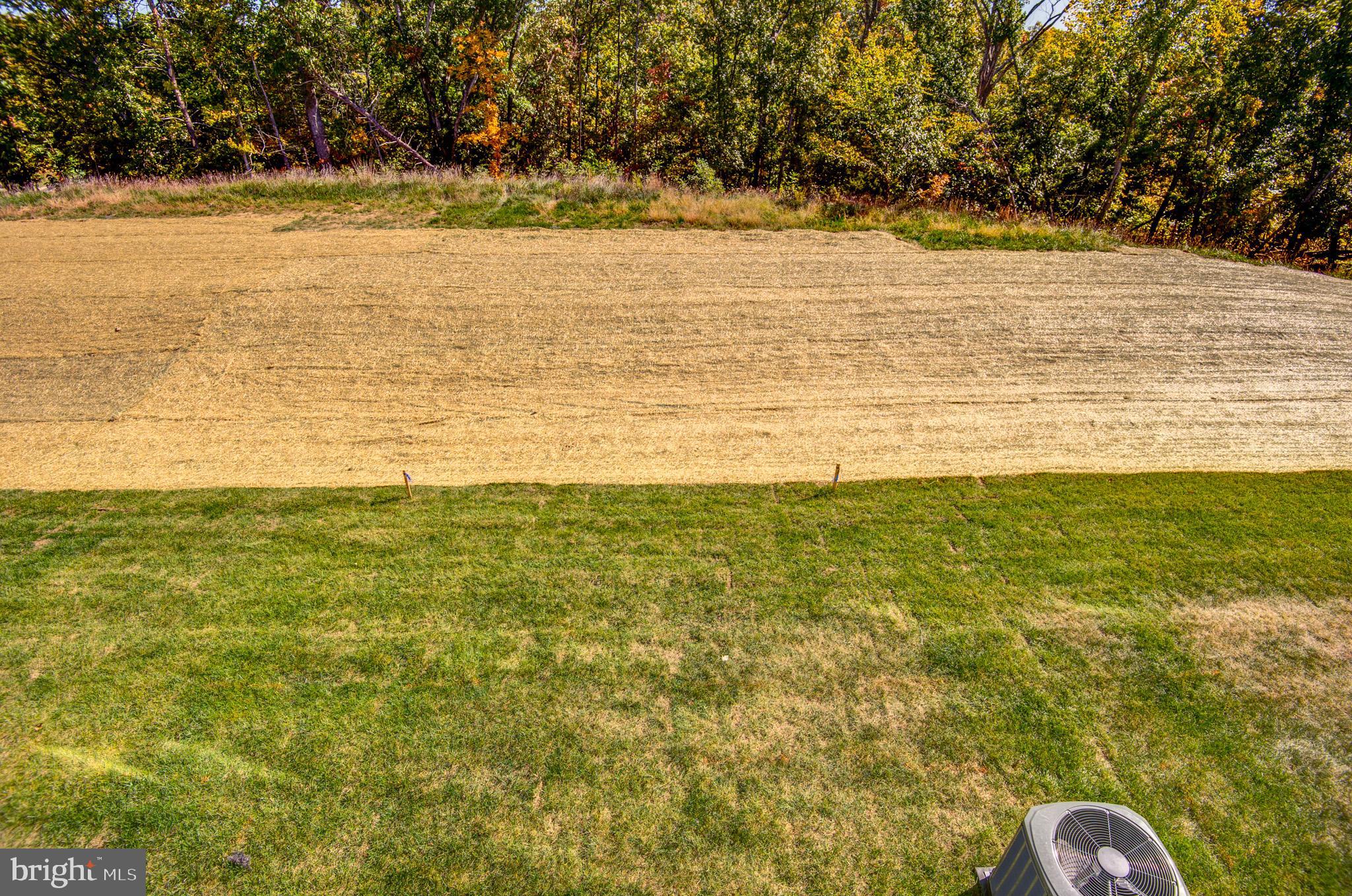 LAKE FREDERICK - Residential Lease