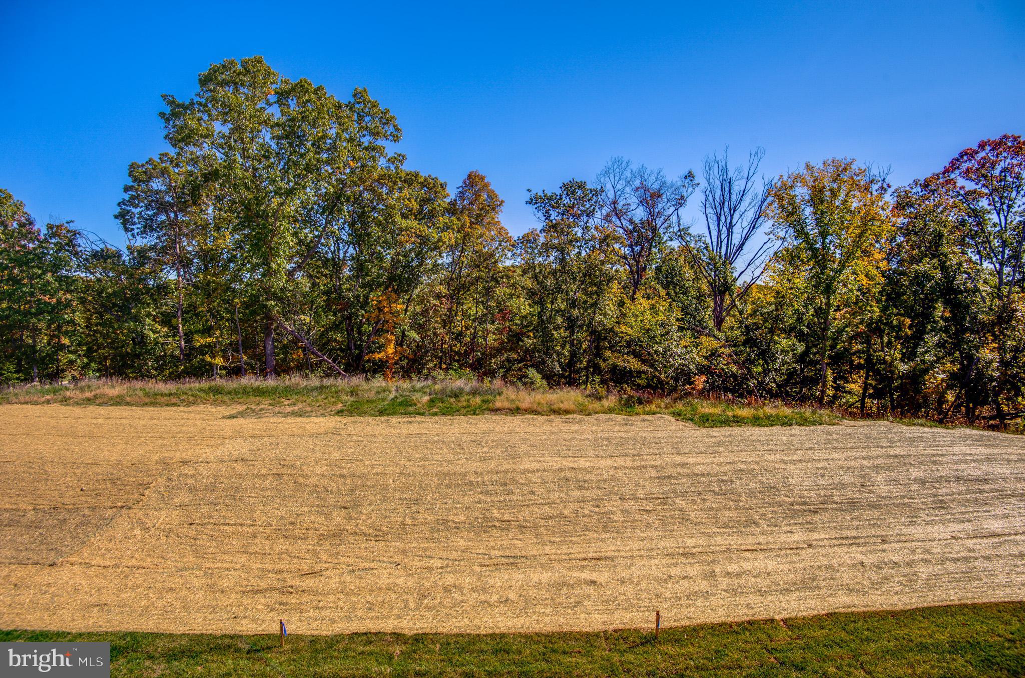 LAKE FREDERICK - Residential Lease