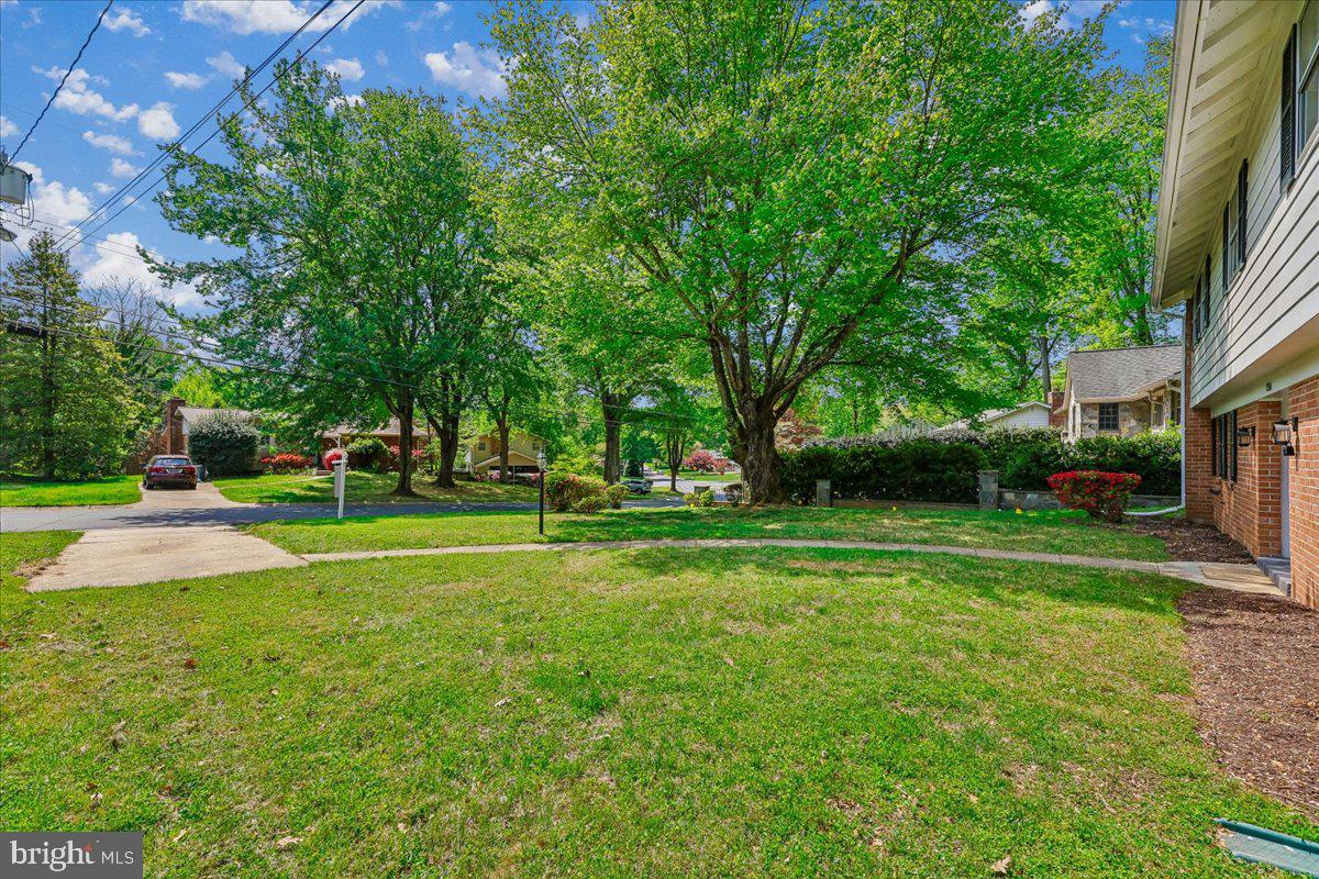 TILDEN WOODS - Residential