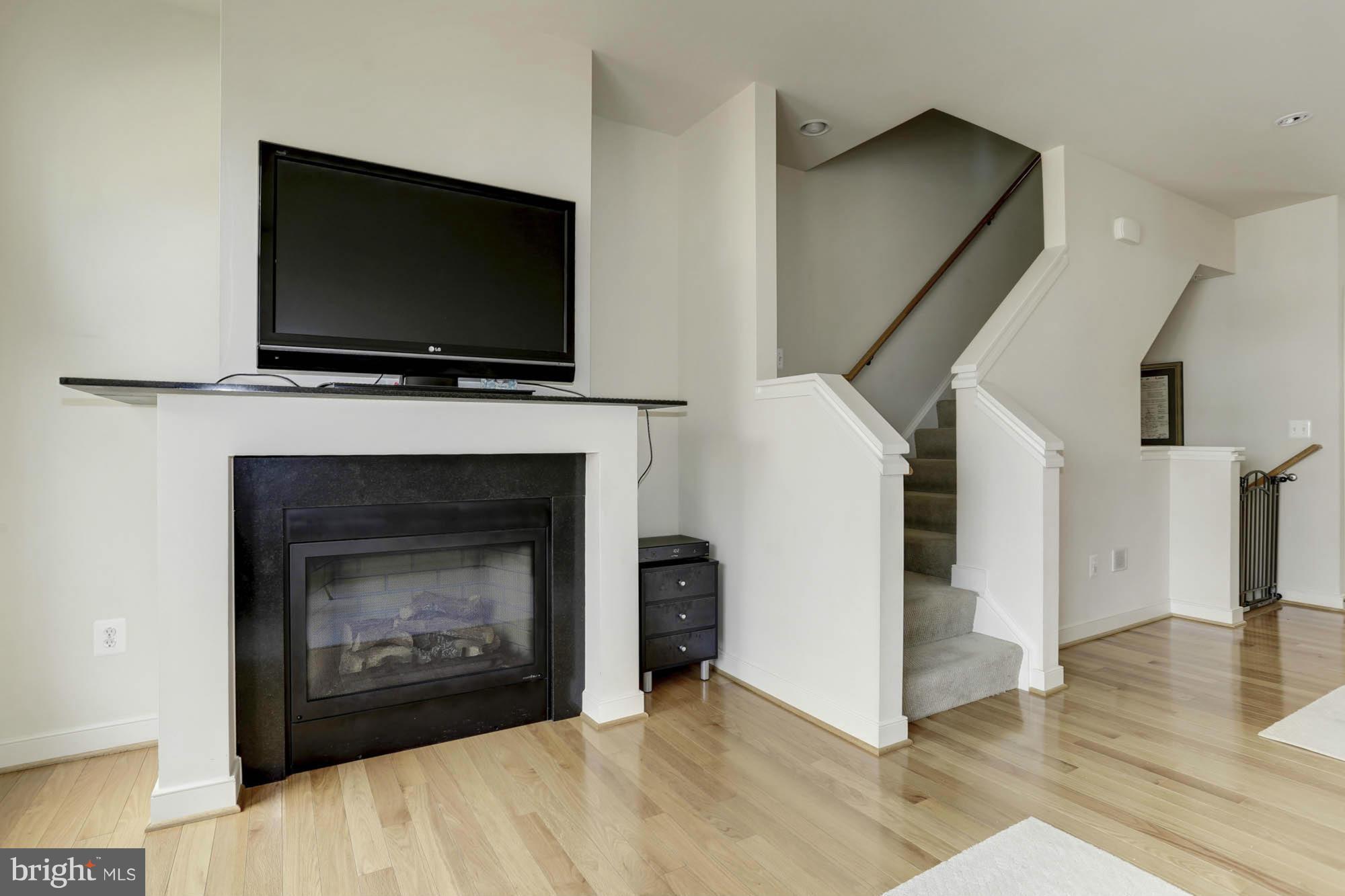 ARTS DISTRICT HYATTSVILLE - Residential