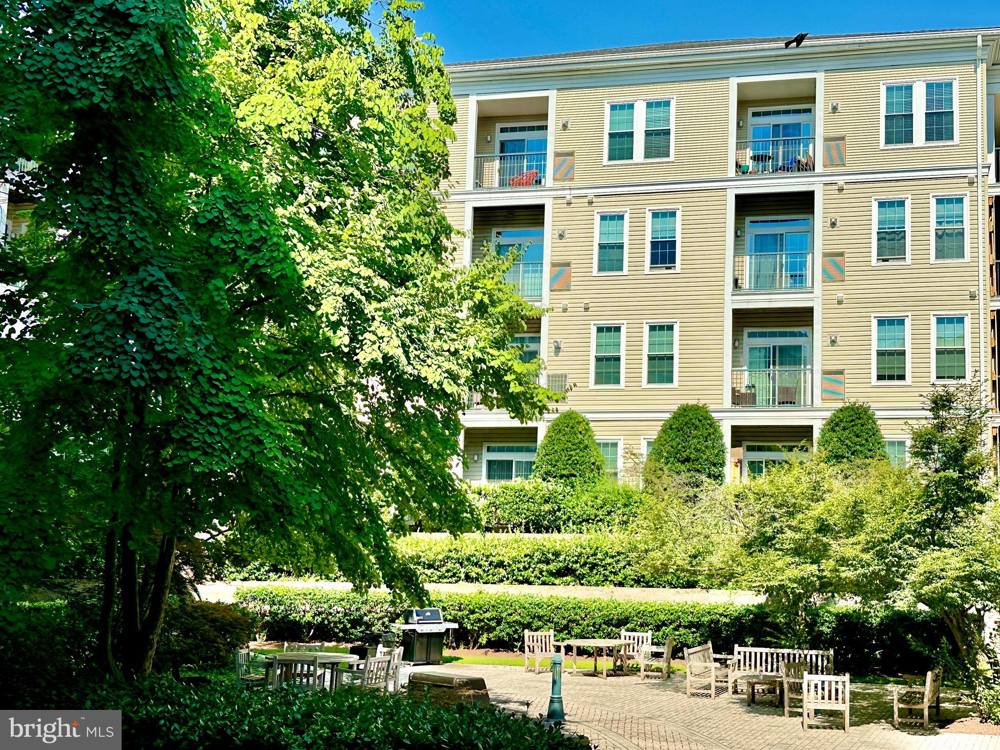 2465 ARMY NAVY DRIVE 1-302