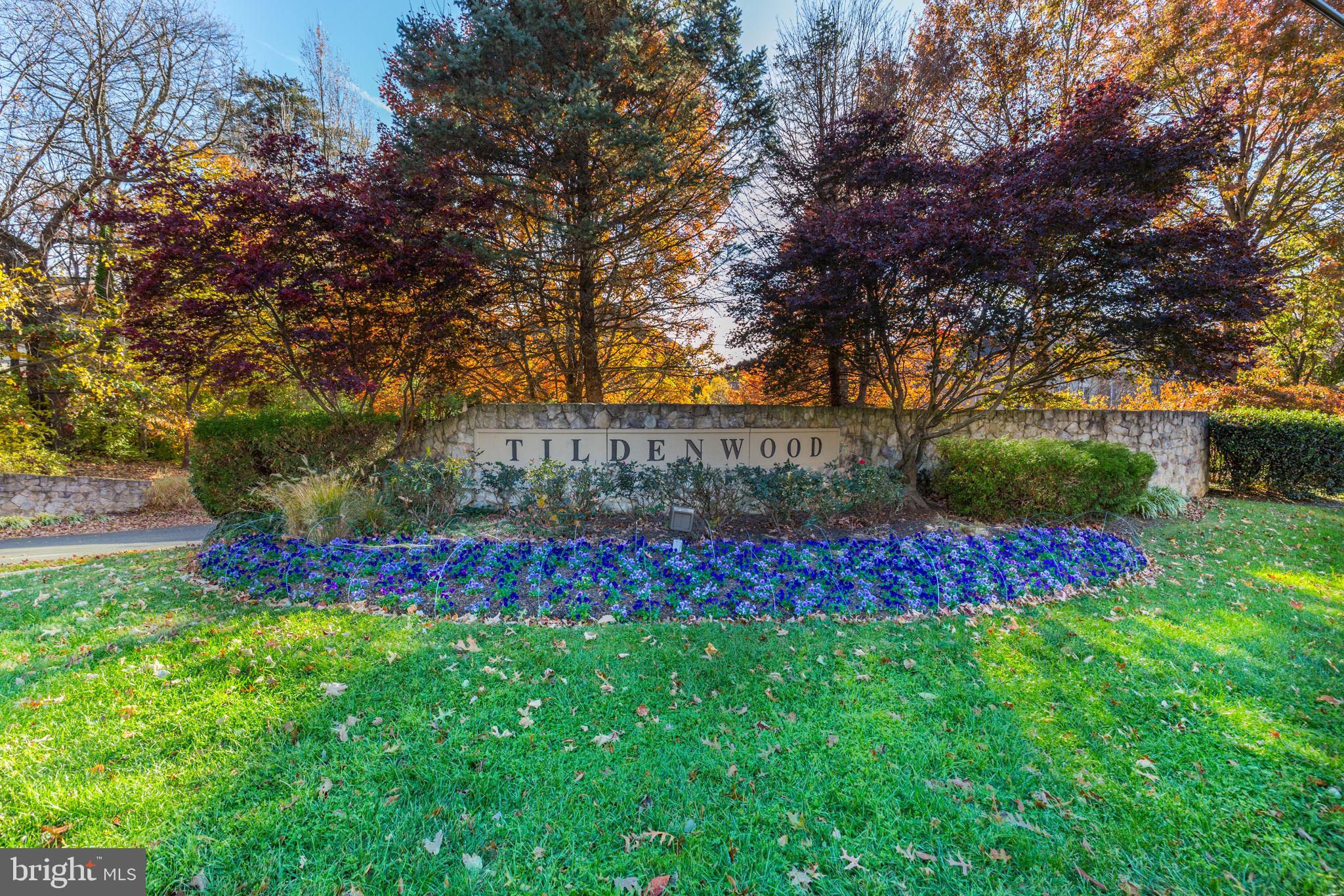 TILDEN PLACE - Residential