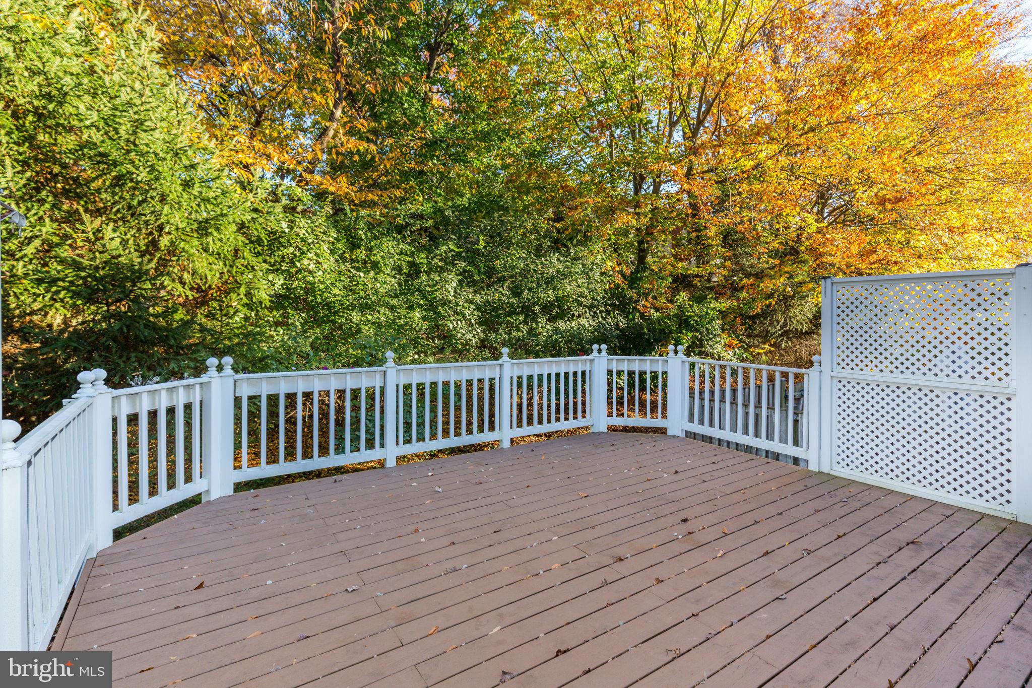 TILDEN PLACE - Residential