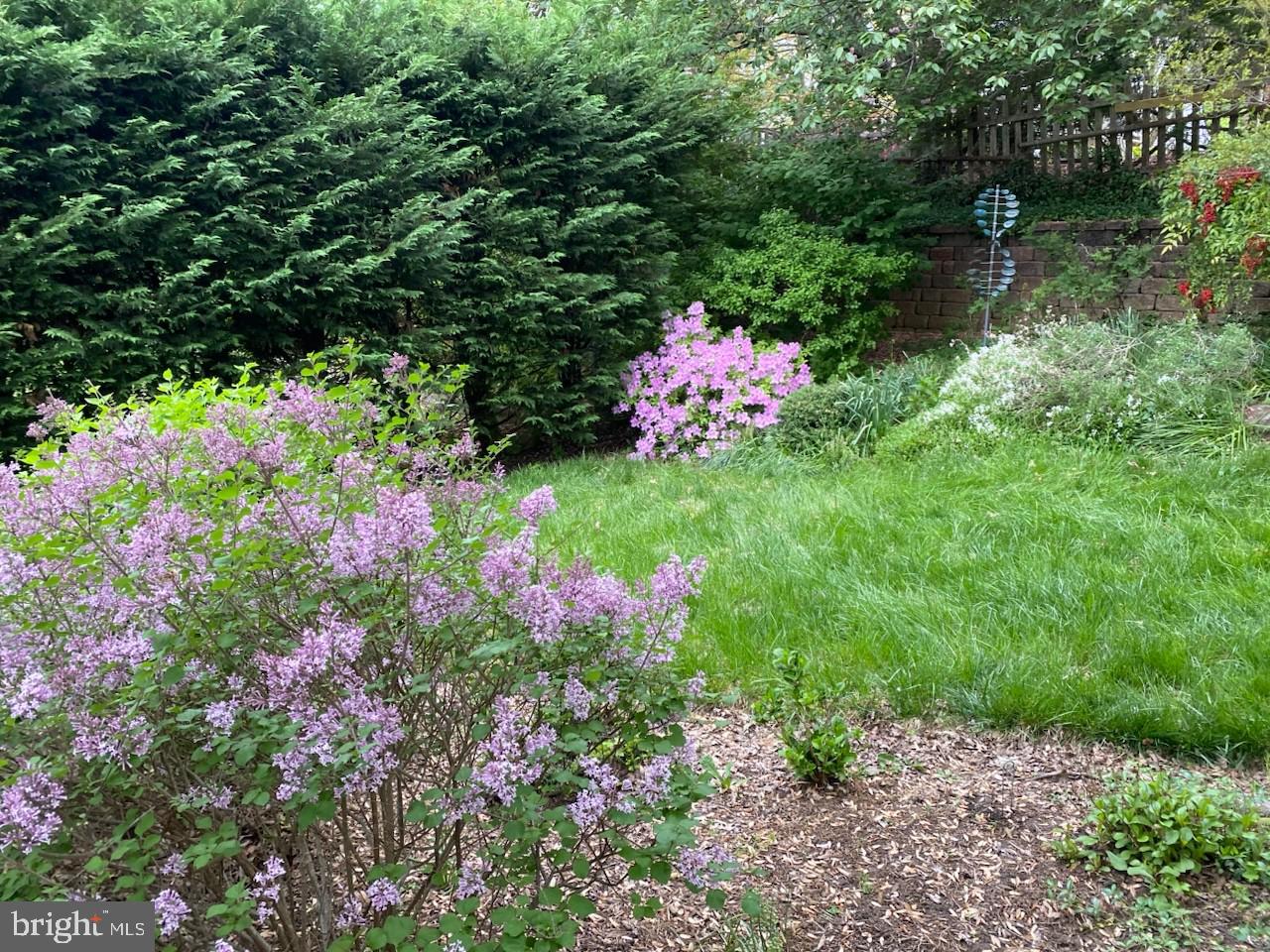 WEST CHEVY CHASE HEIGHTS - Residential