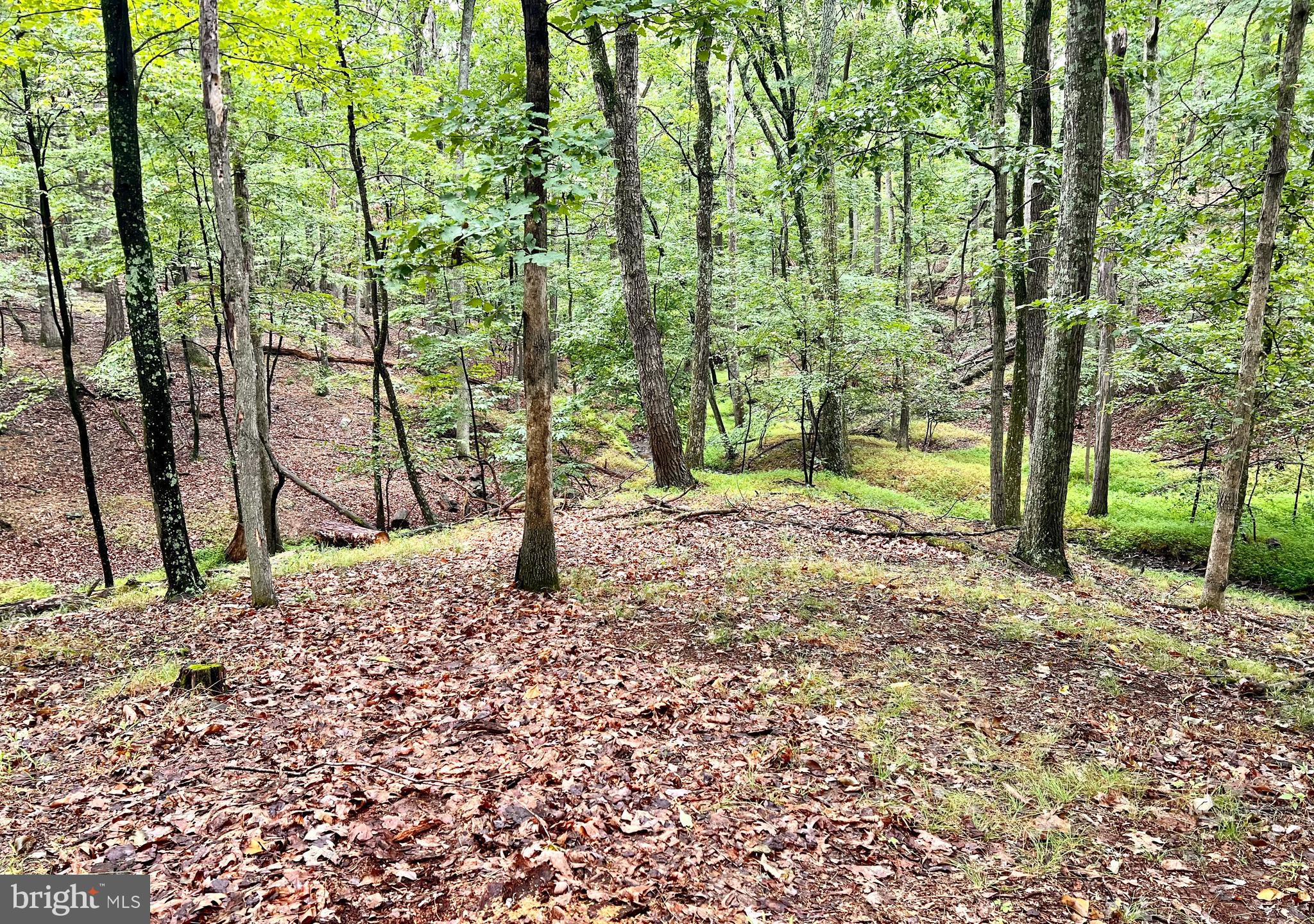 THE WOODS RESORT - Residential