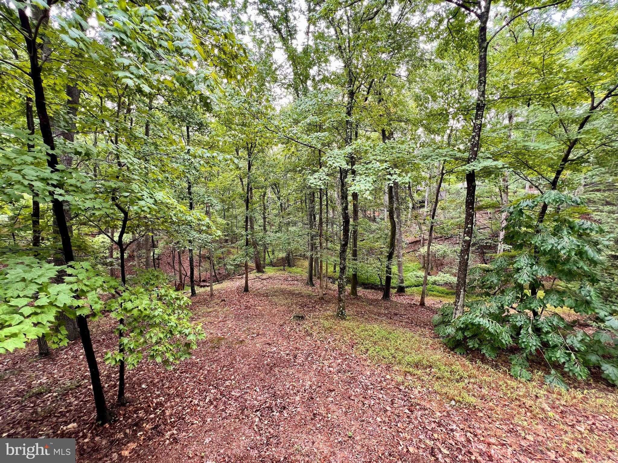 THE WOODS RESORT - Residential