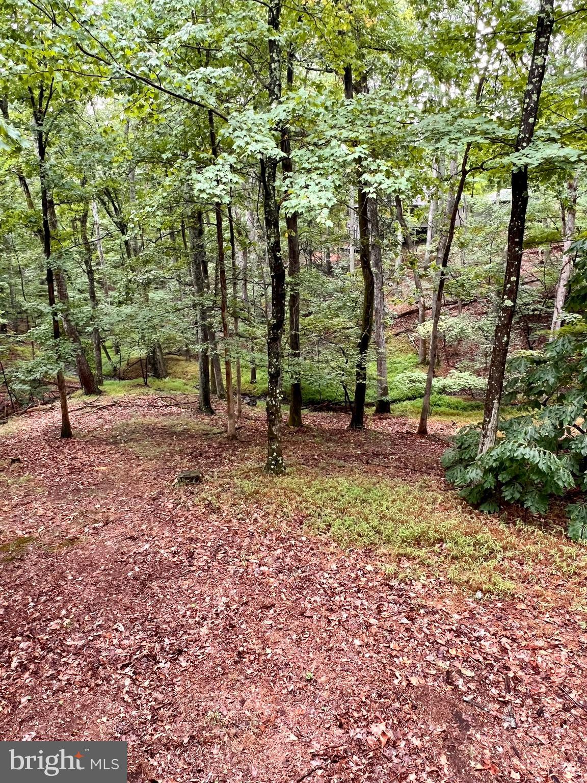 THE WOODS RESORT - Residential