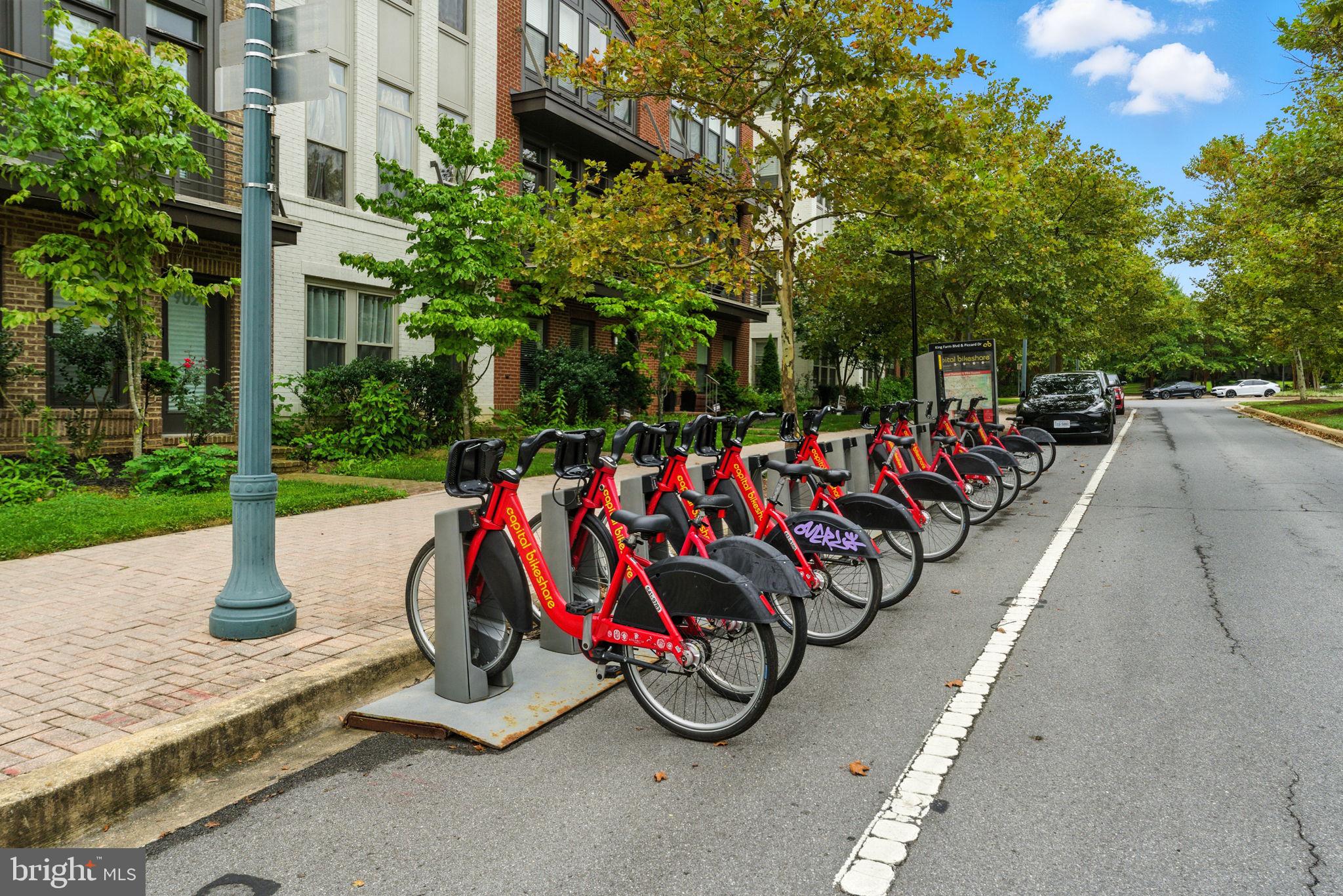 KING FARM - Residential