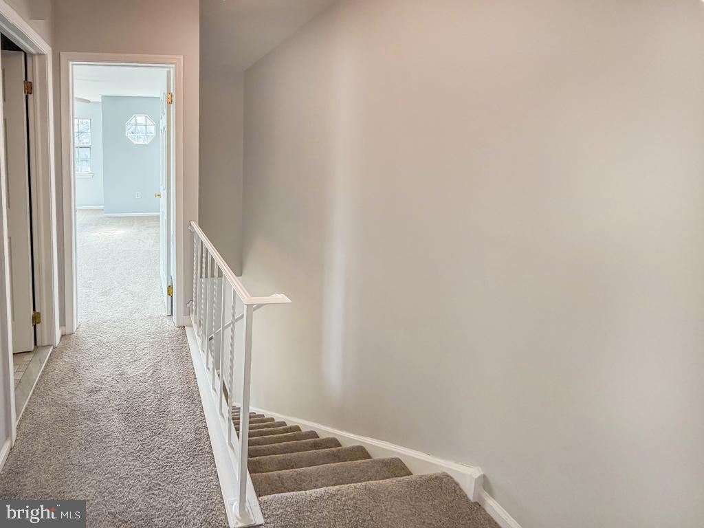 BEAVER COURT - Residential